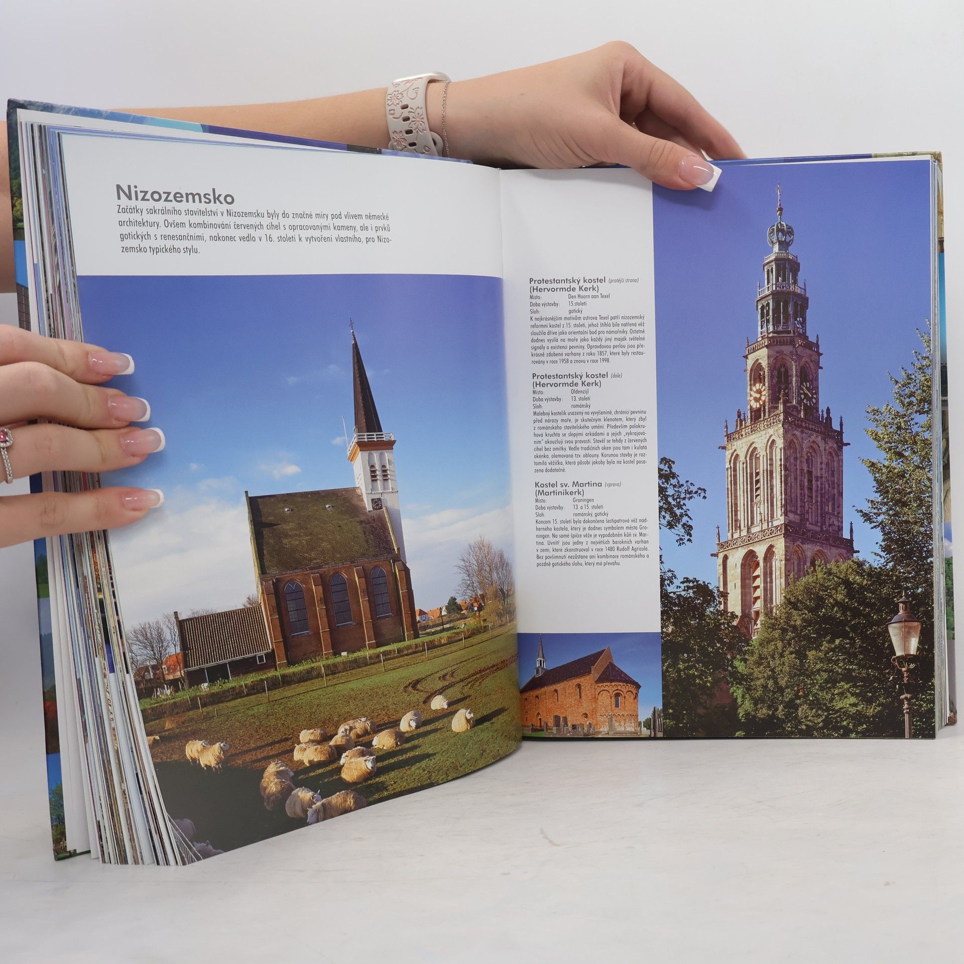 Auteurscollectief 1000 kostelů a klášterů