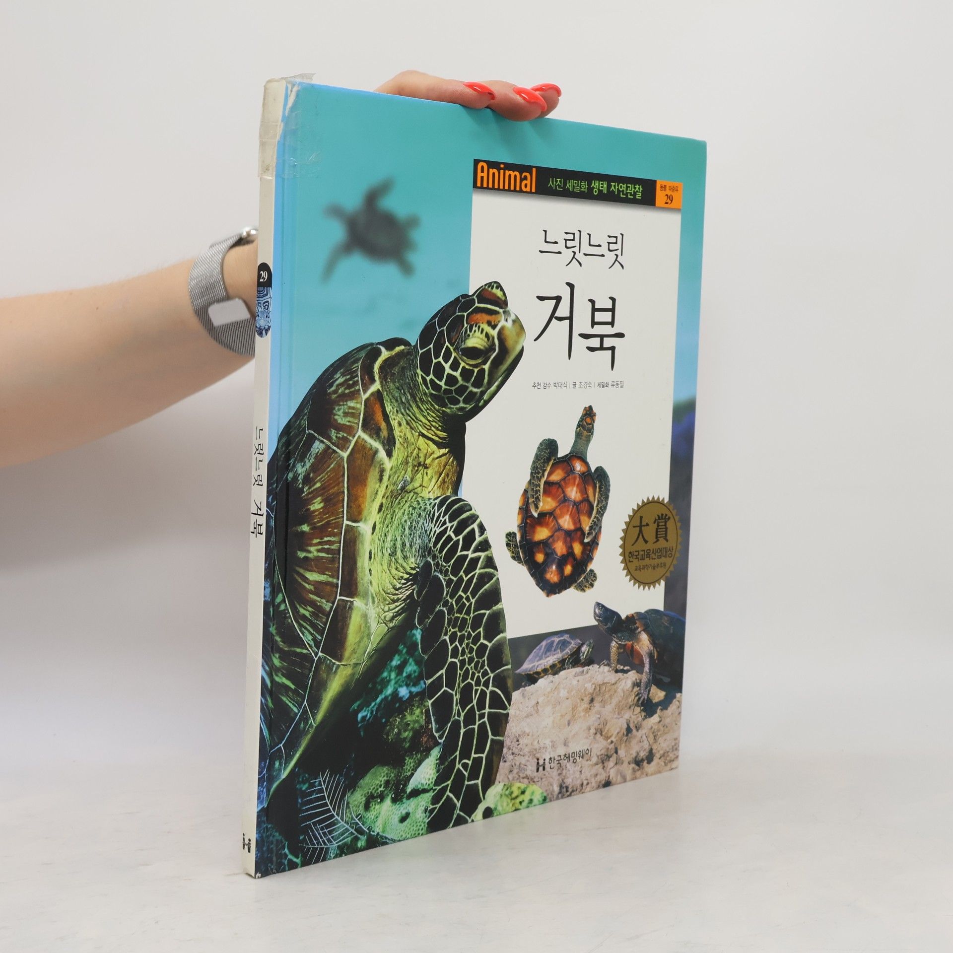 박대식 느릿느릿 거북 29