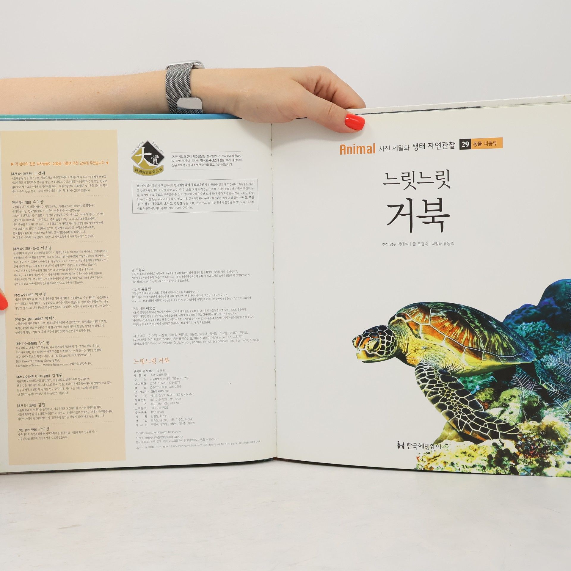 조경숙 느릿느릿 거북 29