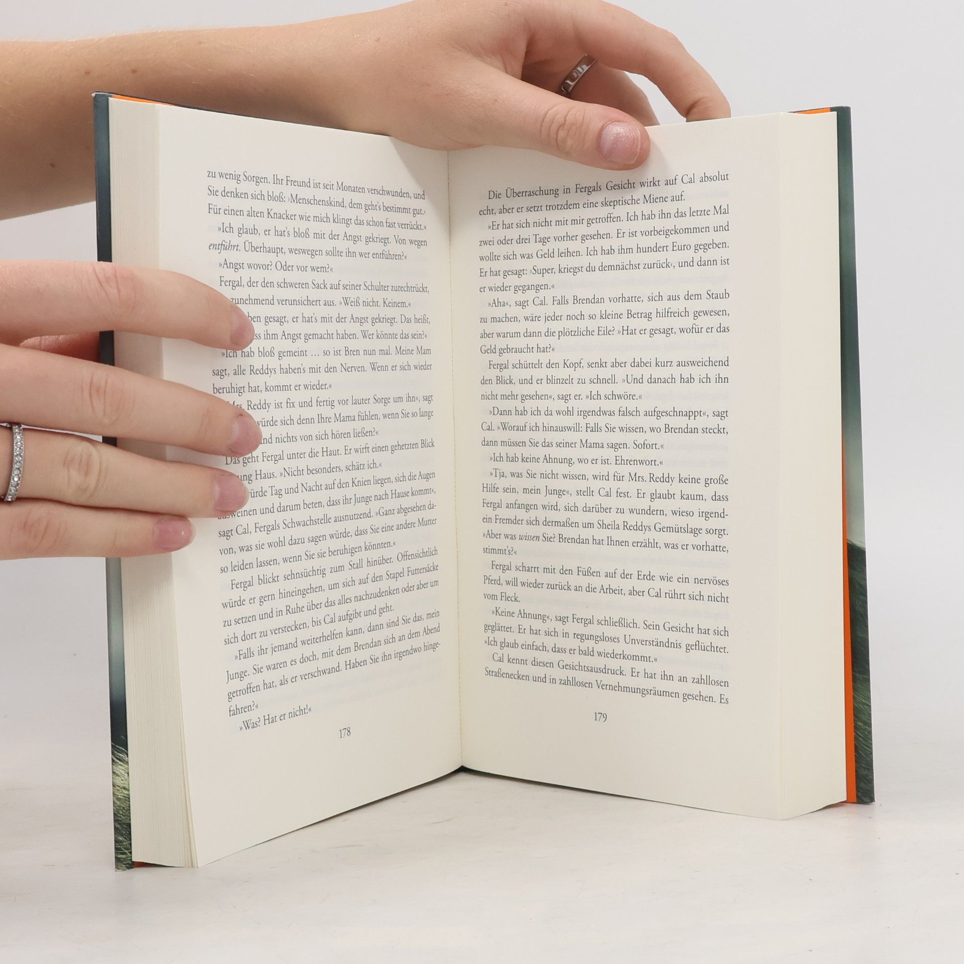 Tana French Der Sucher