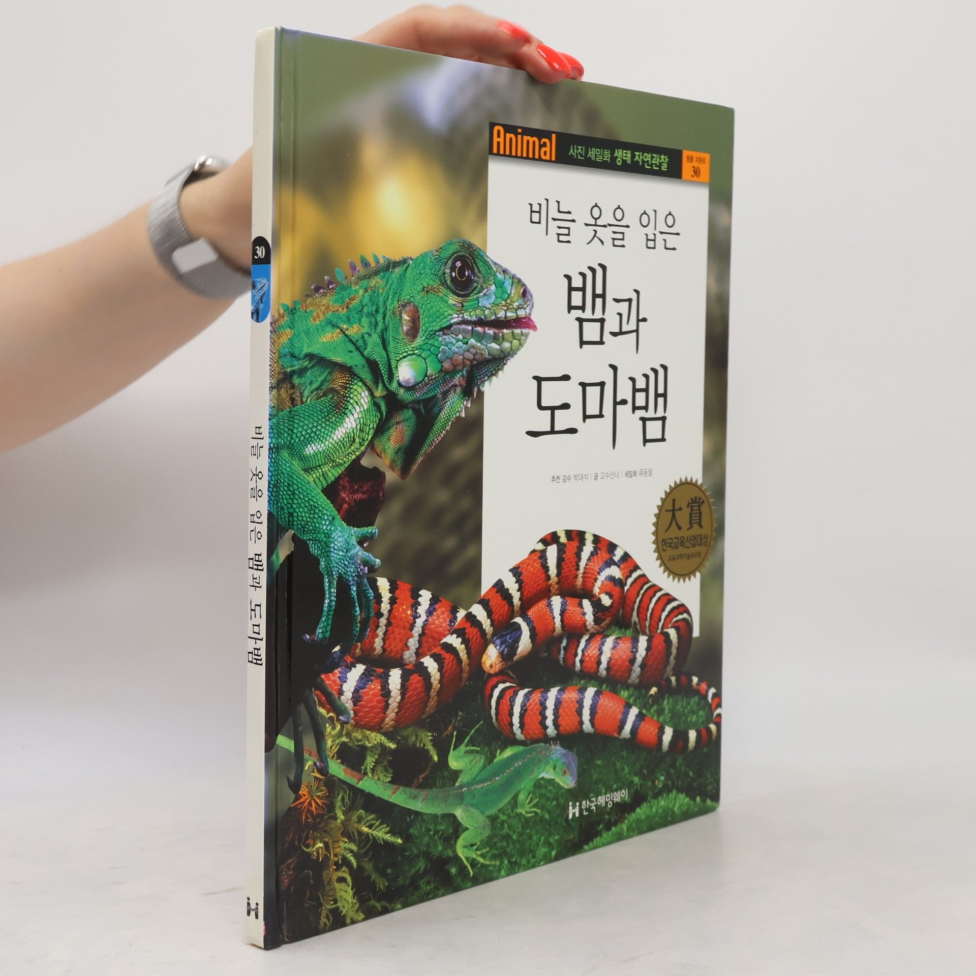 박대식 비늘 옷을 입은 뱀과 도마뱀 30