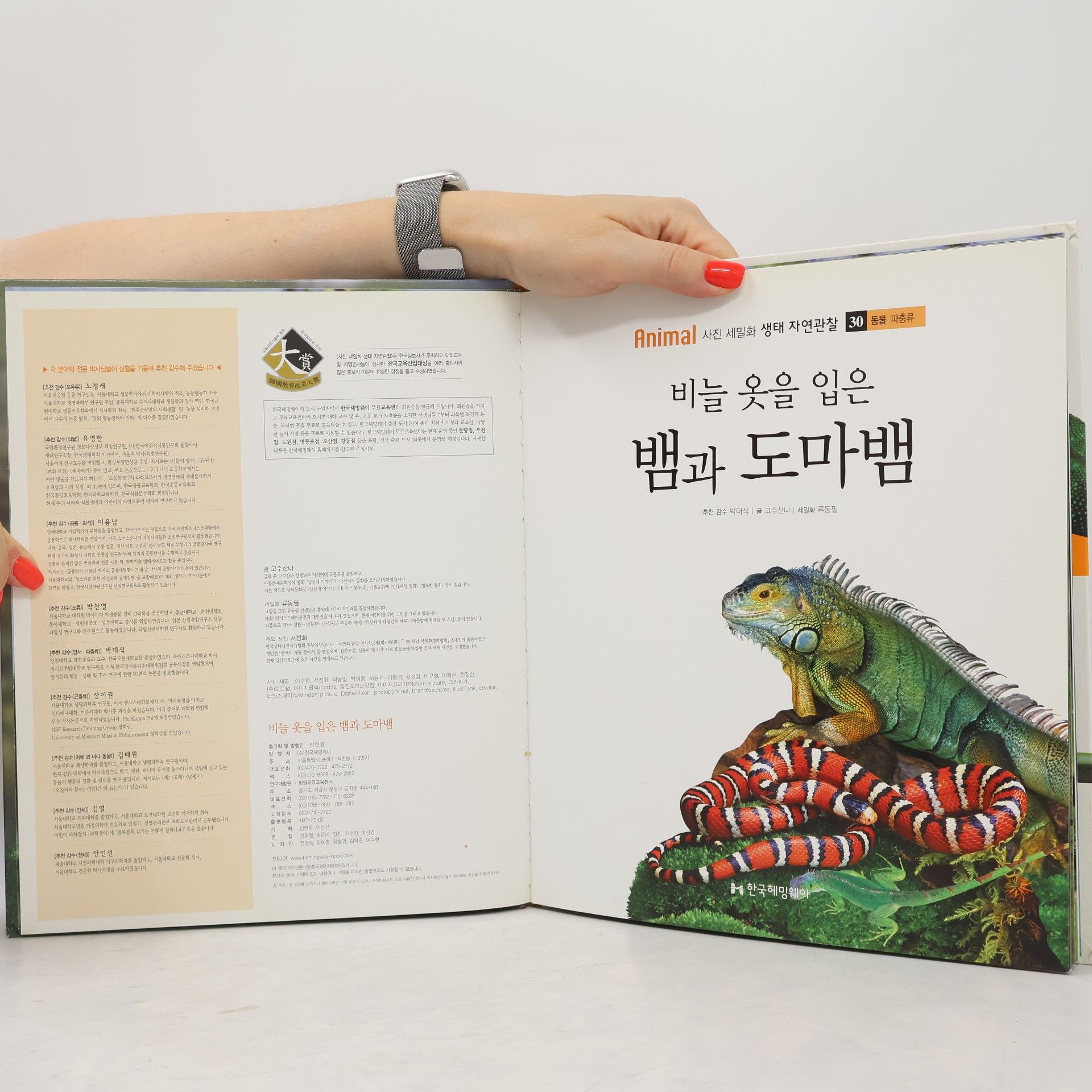 고수산나 비늘 옷을 입은 뱀과 도마뱀 30