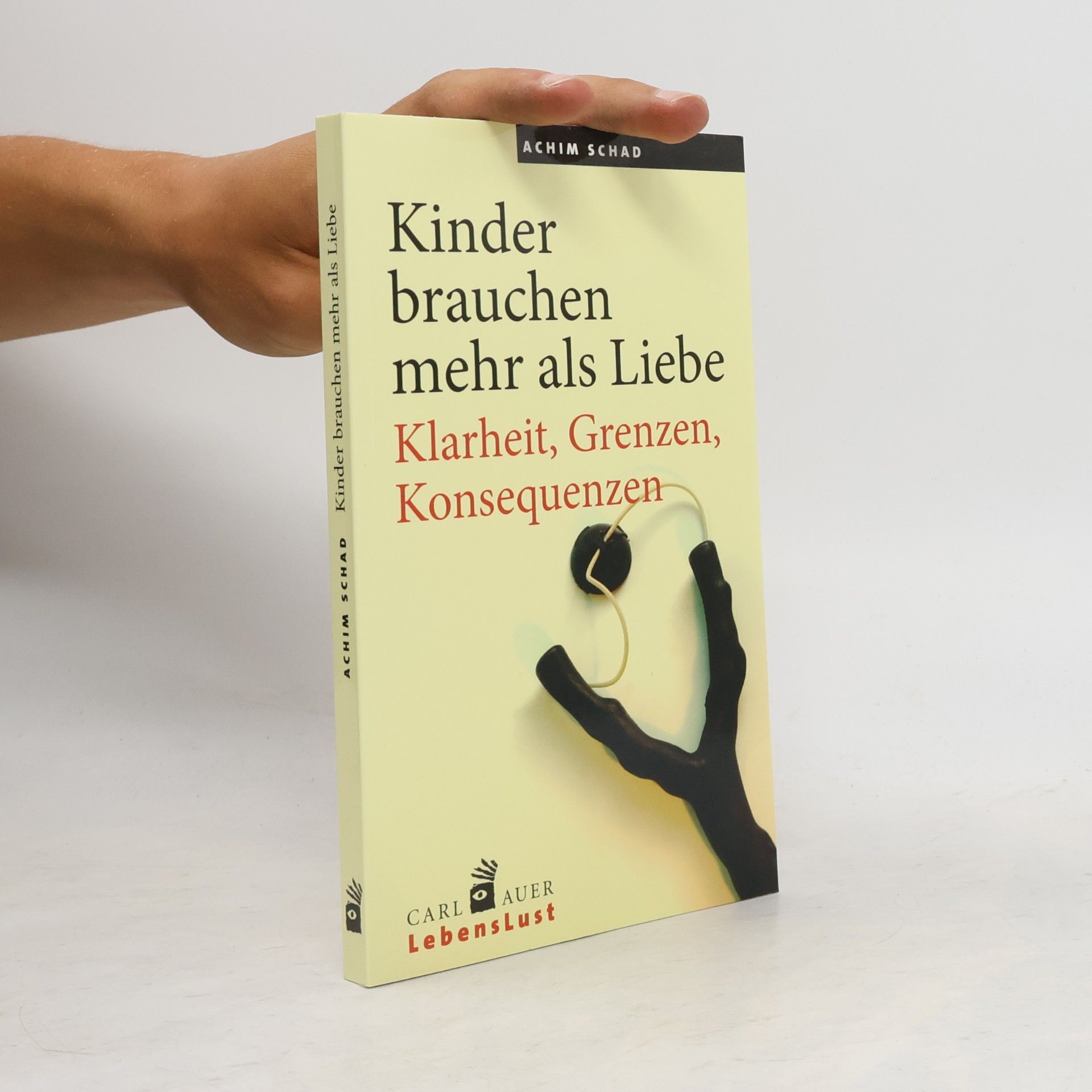 Achim Schad Kinder brauchen mehr als Liebe