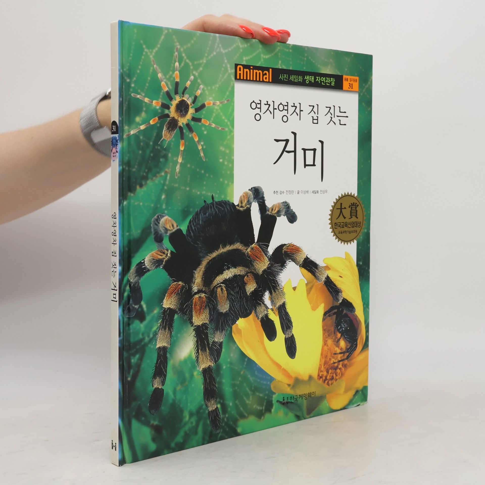 전정란 영차영차 집 짓는 거미 31