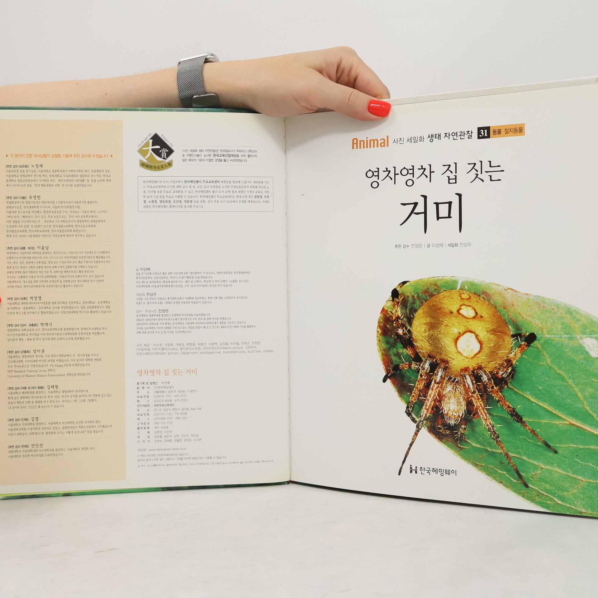 이상배 영차영차 집 짓는 거미 31