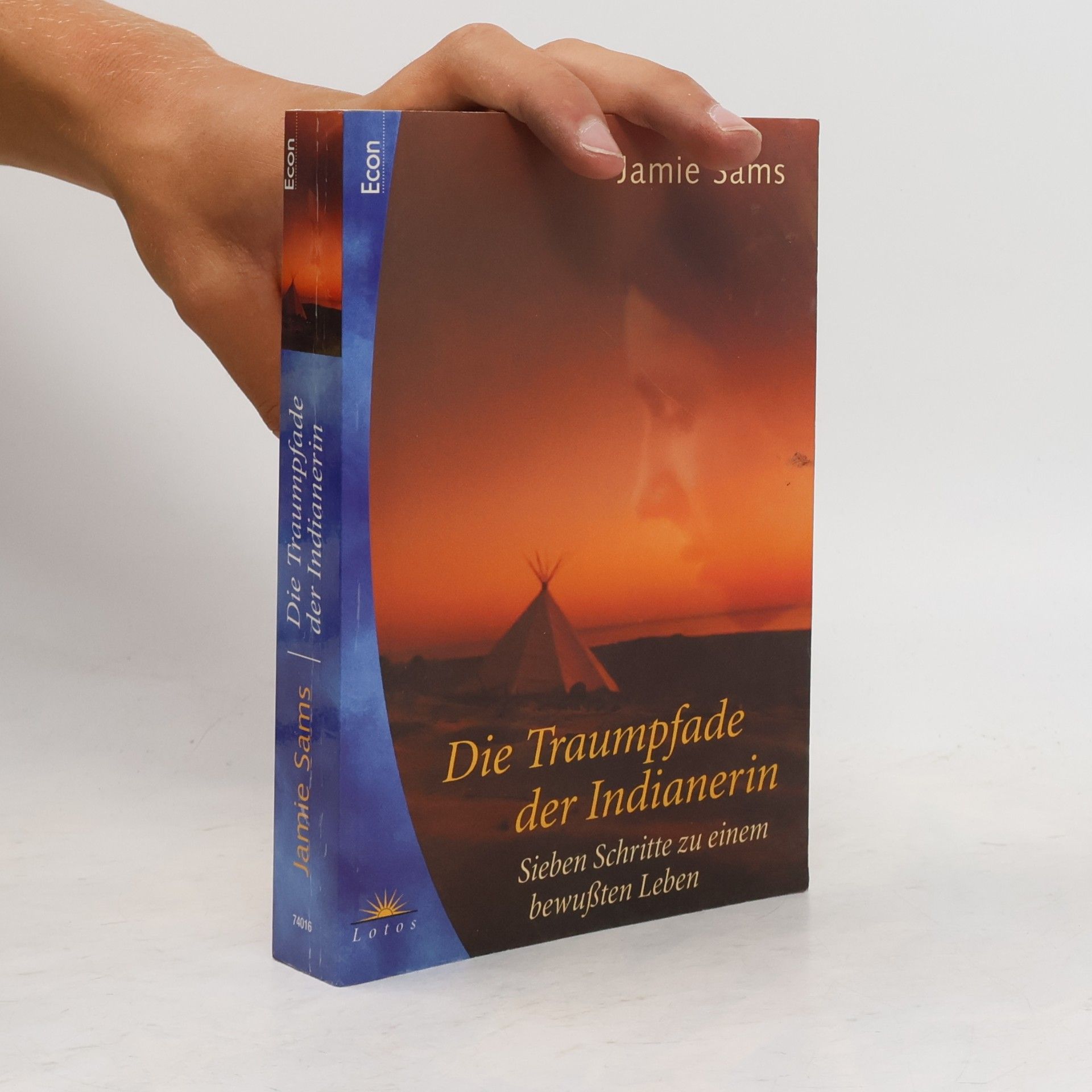 Jamie Sams Die Traumpfade der Indianerin