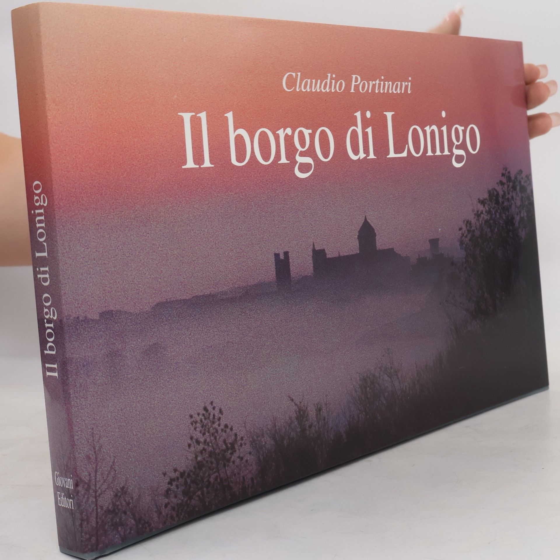 Claudio Portinari Il borgo di Lonigo