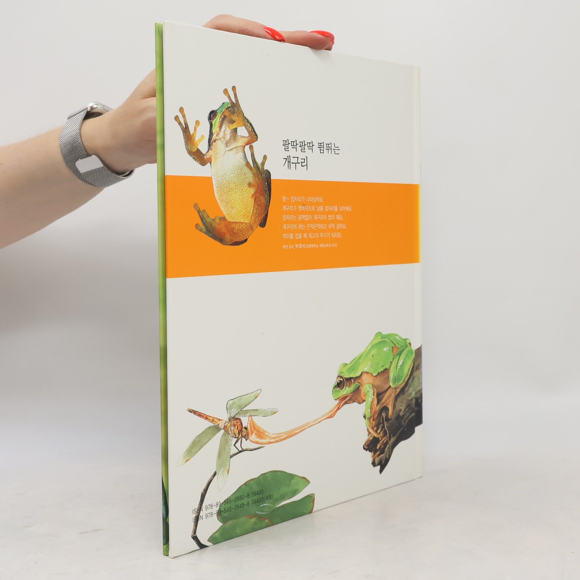 Yang Mijin 팔딱팔딱 뛰는 개구리 32