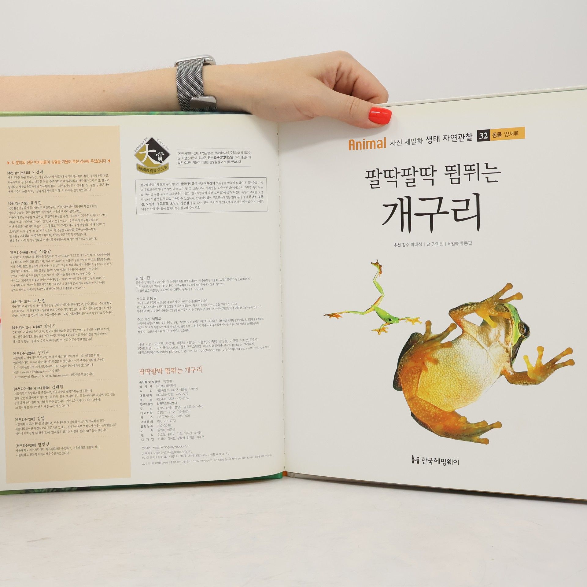 Yang Mijin 팔딱팔딱 뛰는 개구리 32