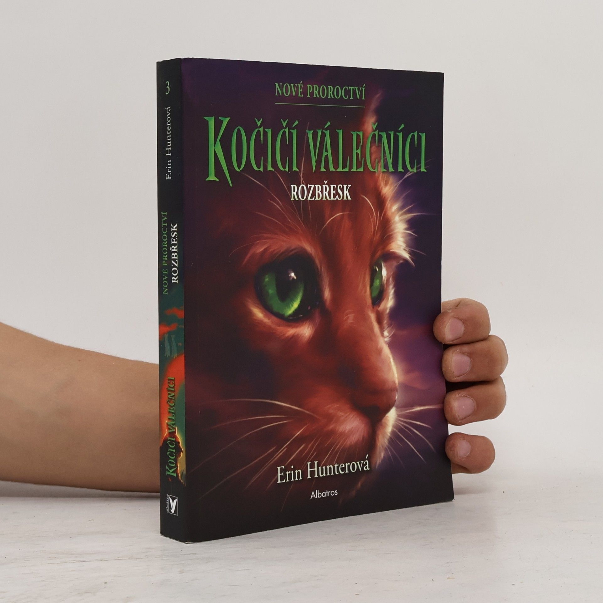 Erin Hunter Kočičí válečníci: Rozbřesk