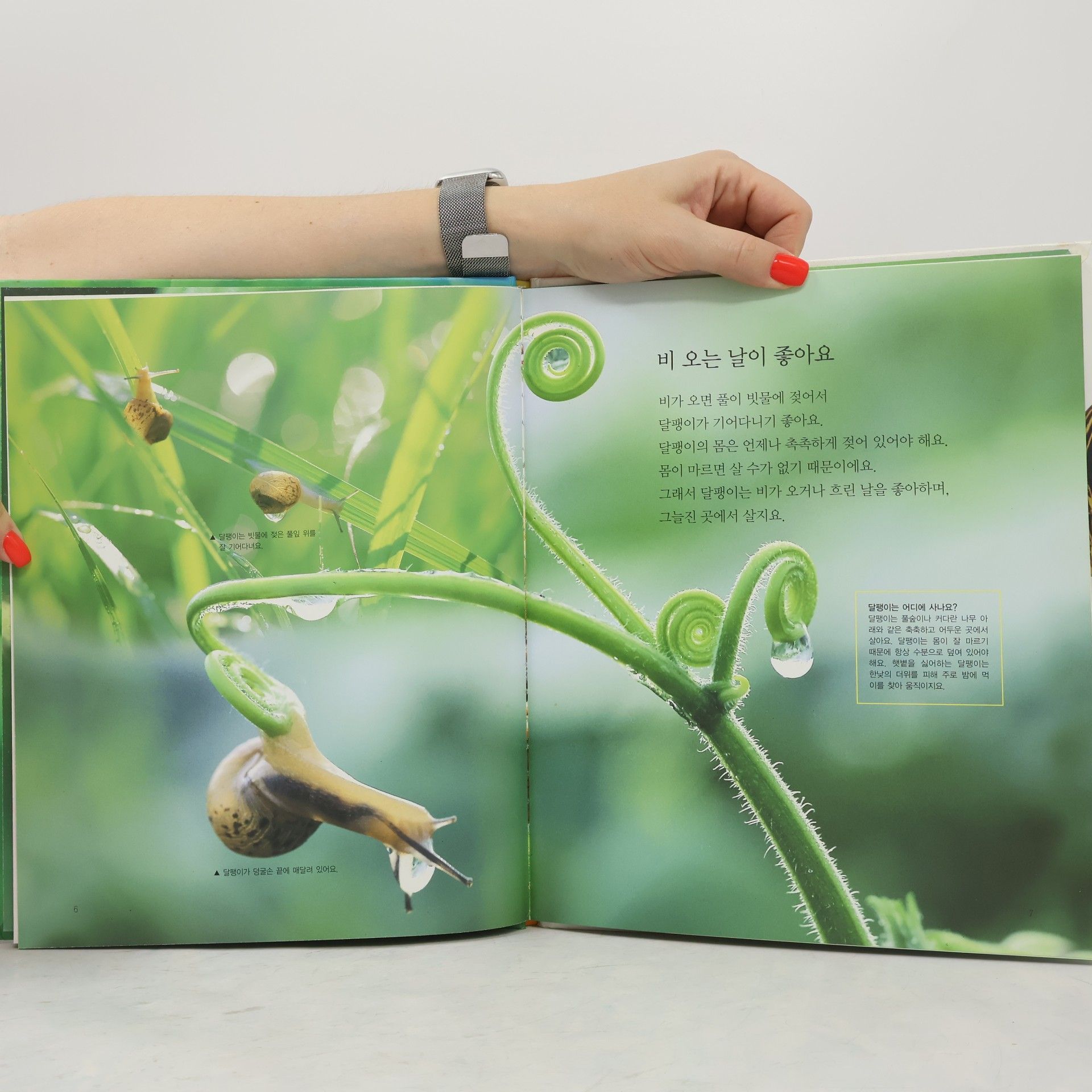 이상배 비 오는 날이 좋은 달팽이 33