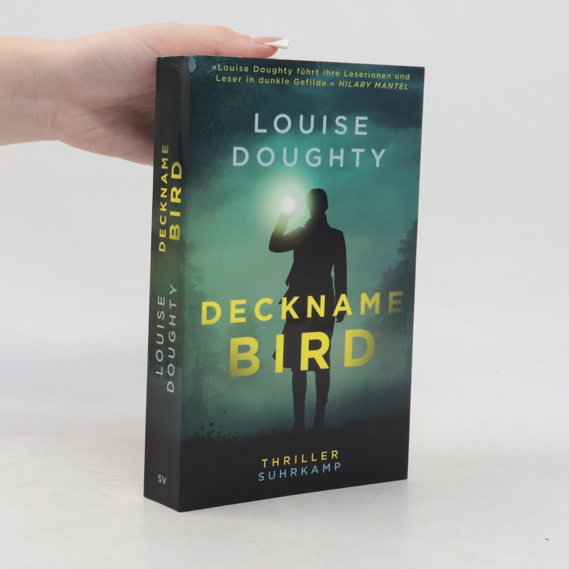 Louise Doughty Deckname Bird