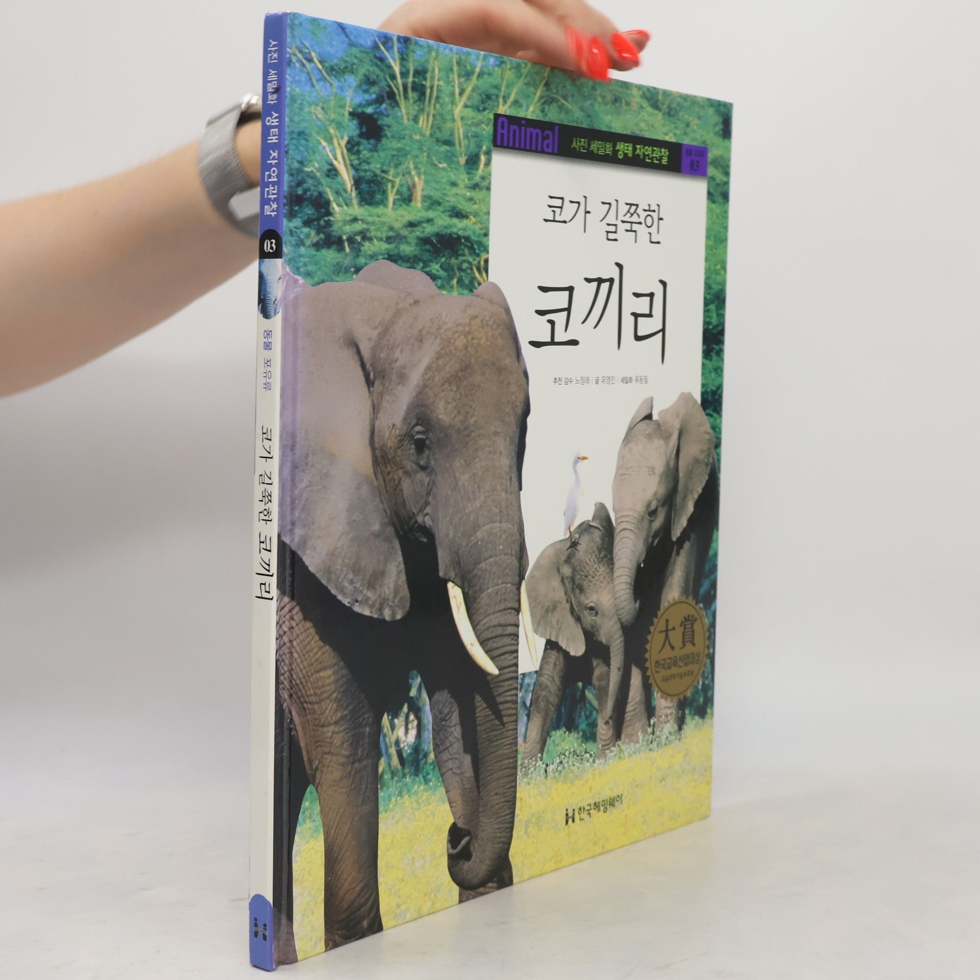 류동필 코가 길쭉한 코끼리 03