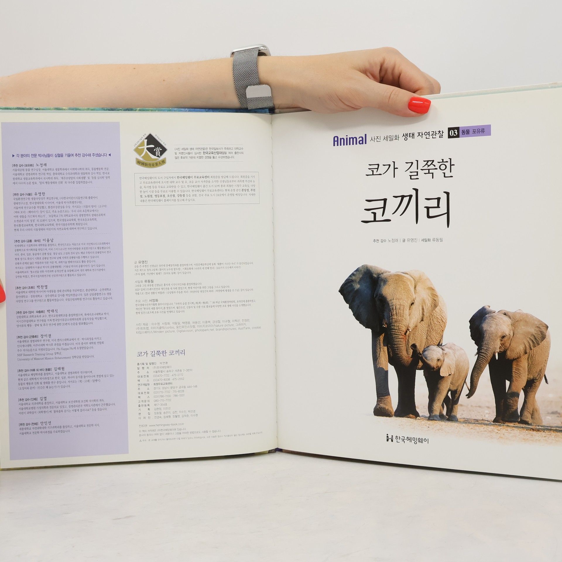 유영진 코가 길쭉한 코끼리 03