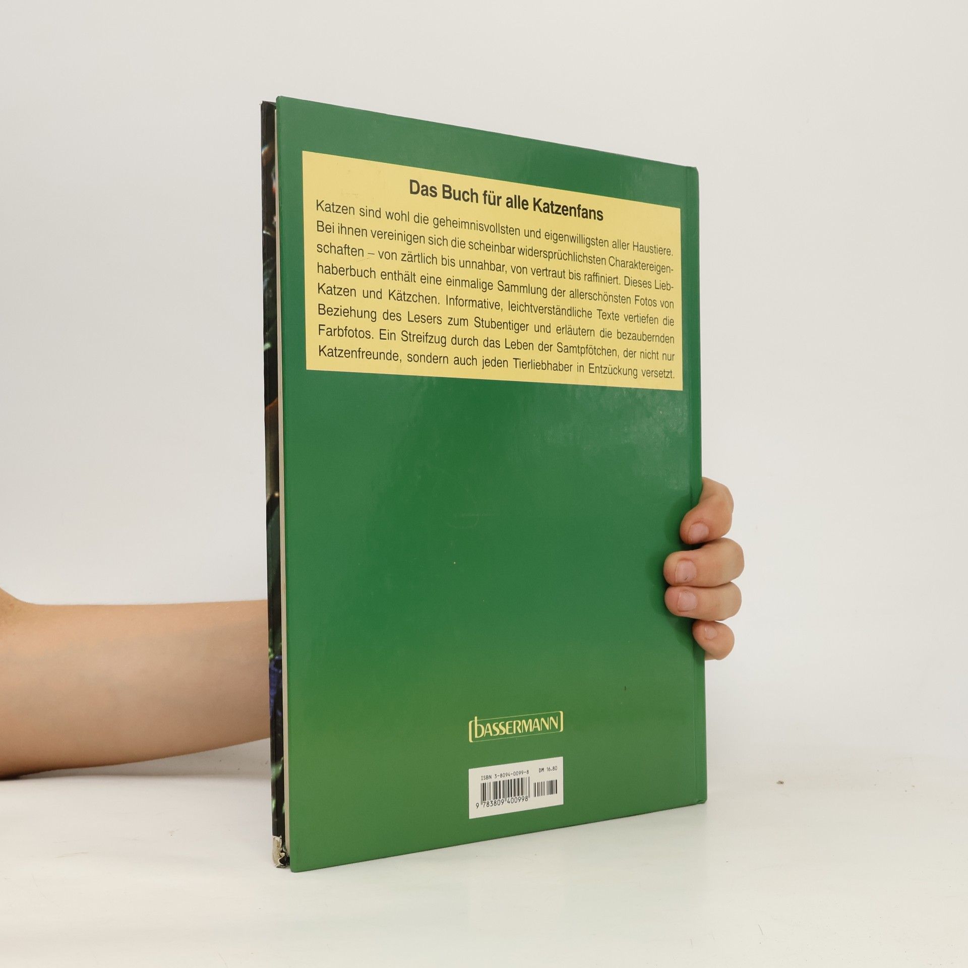Warren Eckstein Mein liebstes Katzenbuch