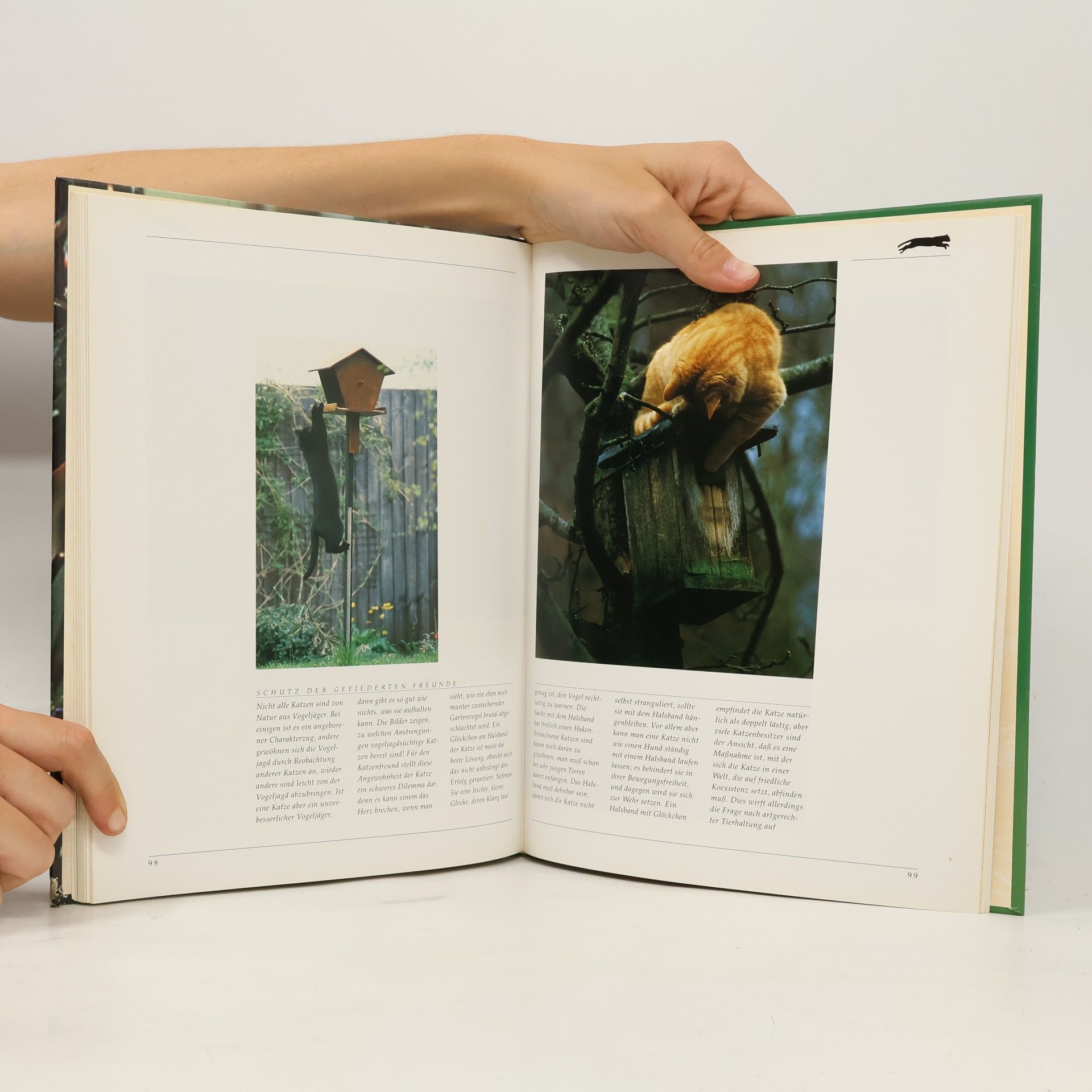 Warren Eckstein Mein liebstes Katzenbuch