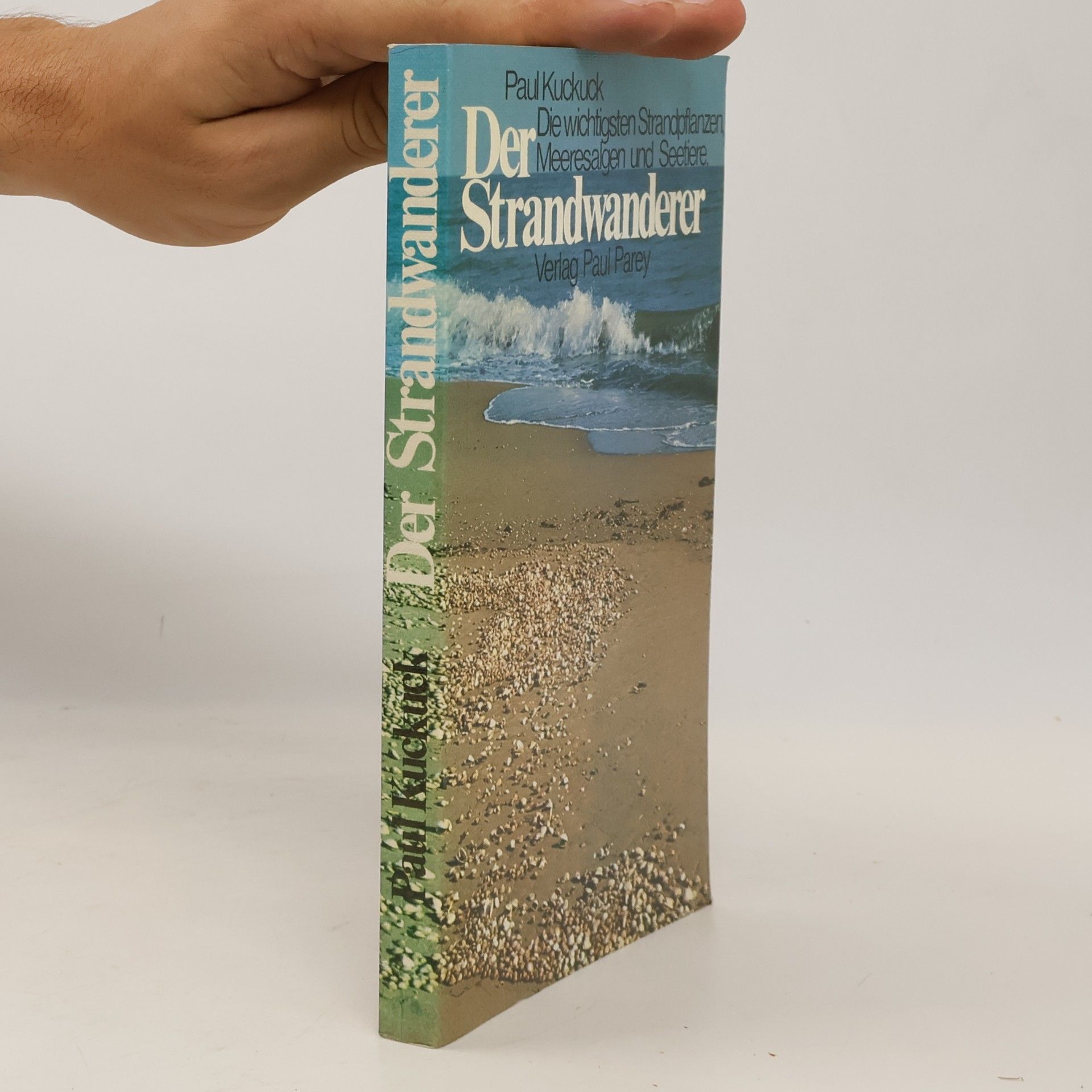 Der Strandwanderer