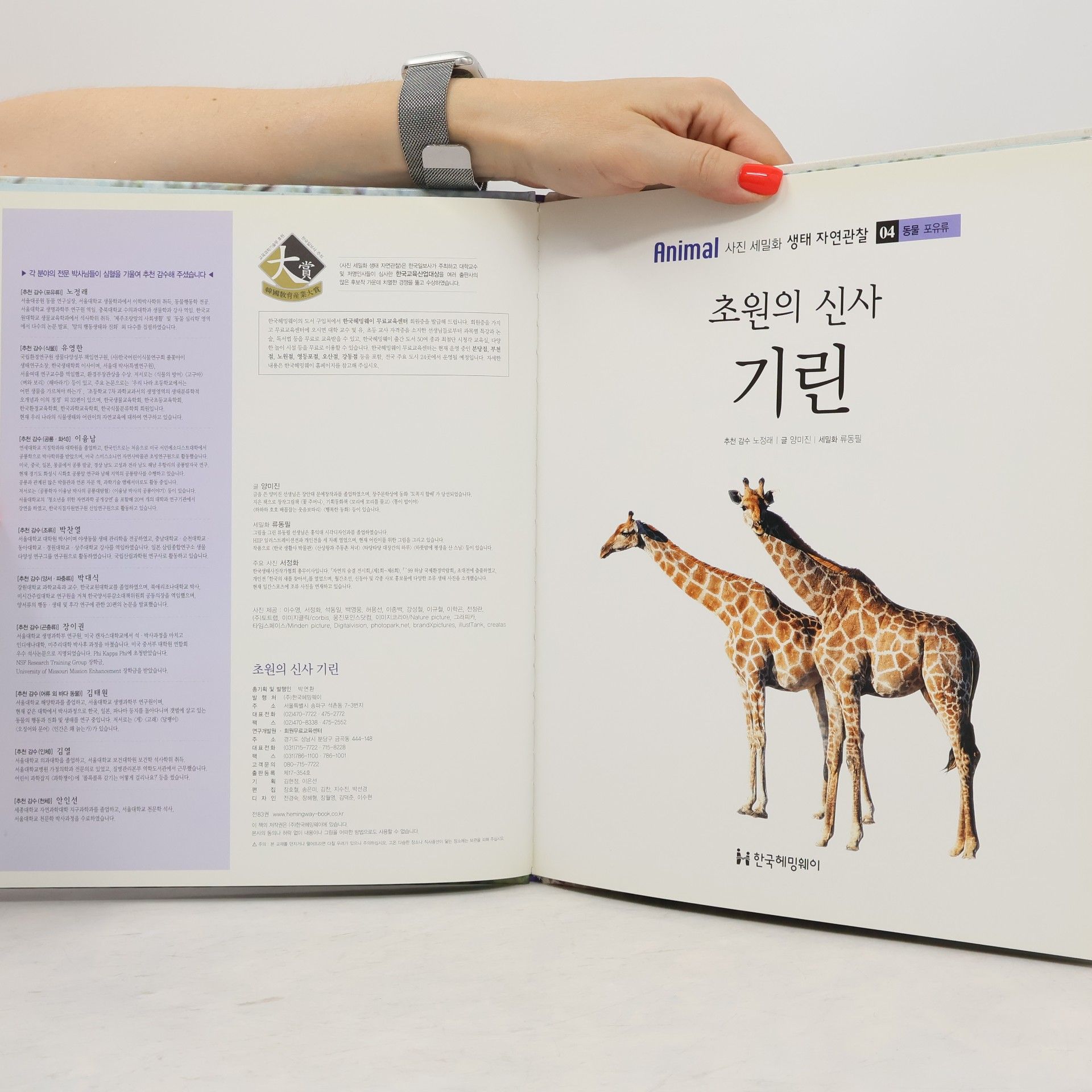 노정래 초원의 신사 기린 04