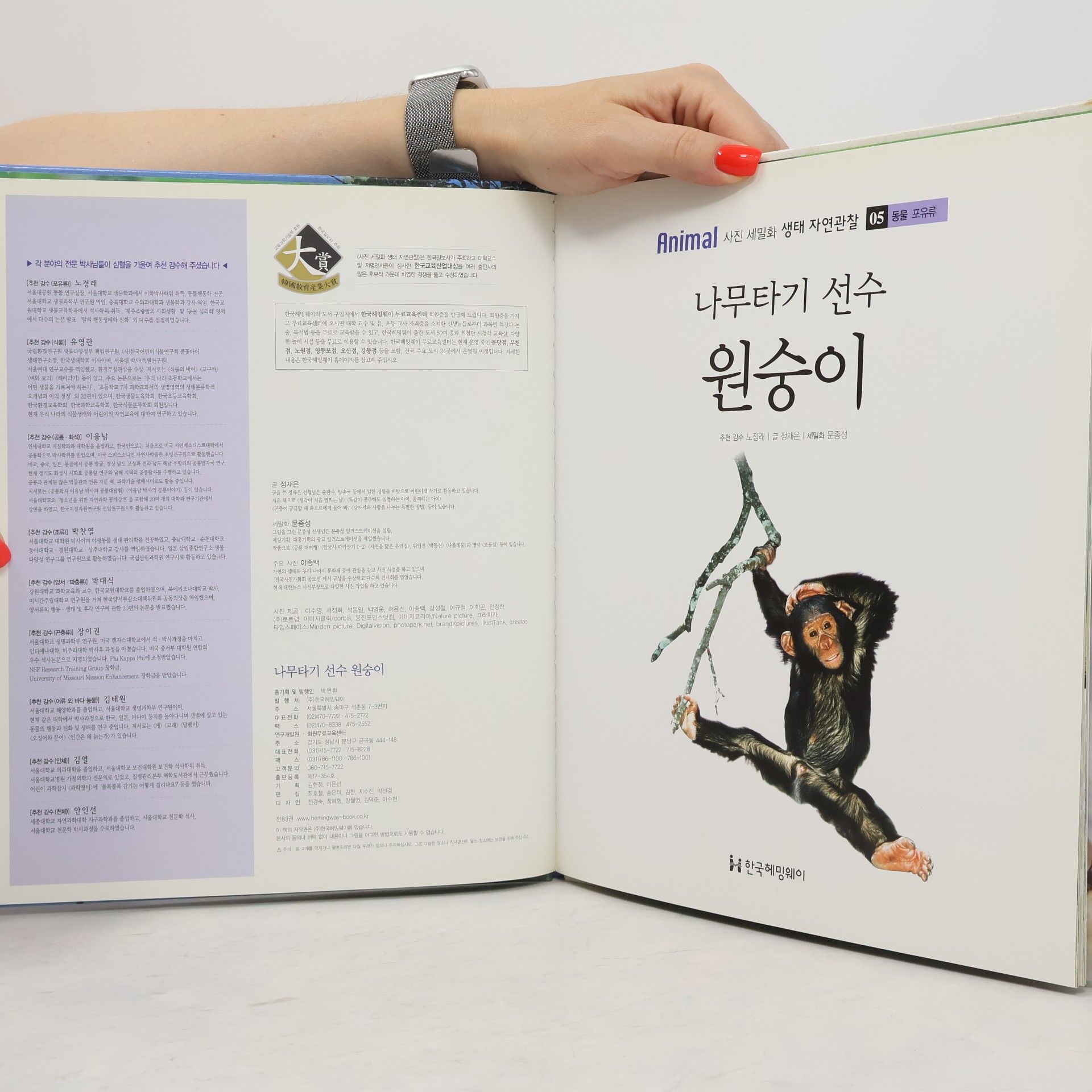 수잔 존스 나무타기 선수 원숭이 05