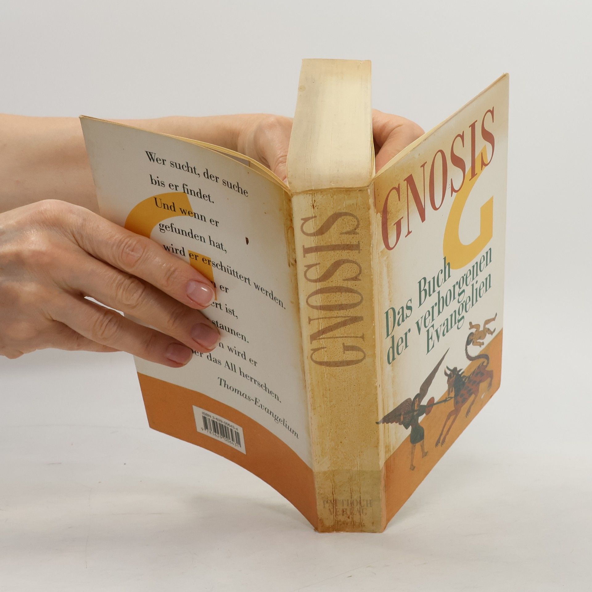Autorenkollektiv Gnosis: Das Buch der verborgenen Evangelien