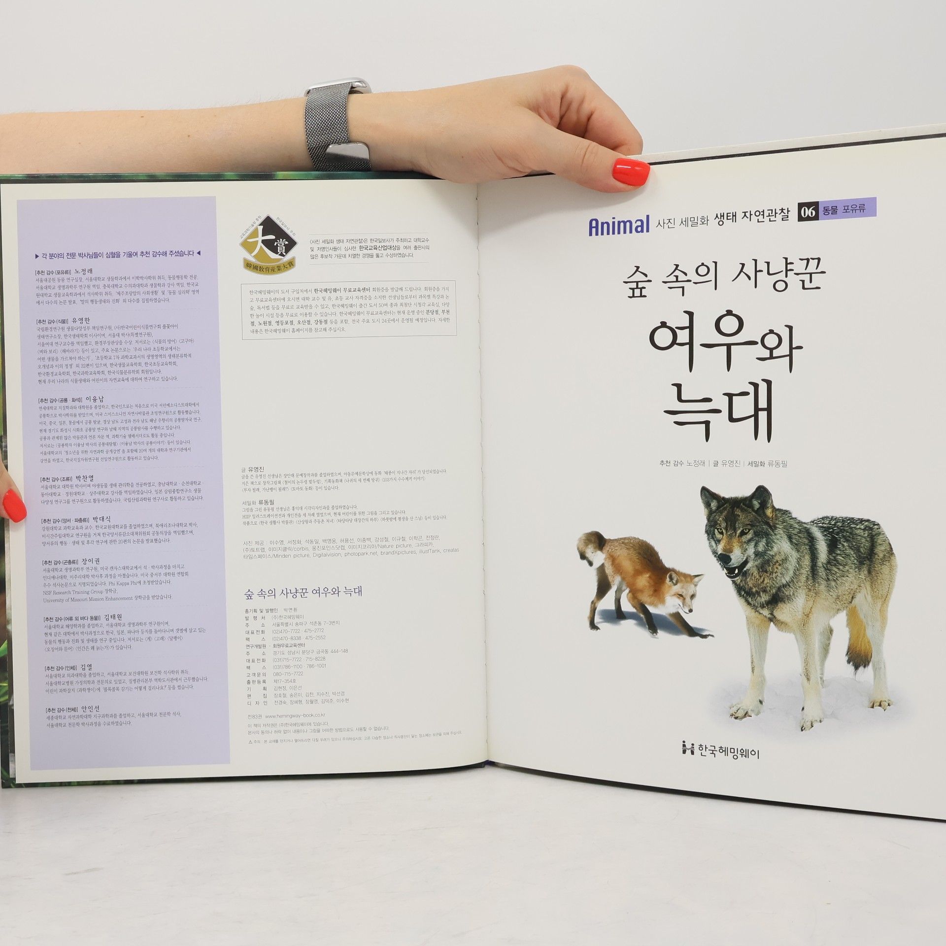 유은정 숲 속의 사냥꾼 여우와 늑대 06