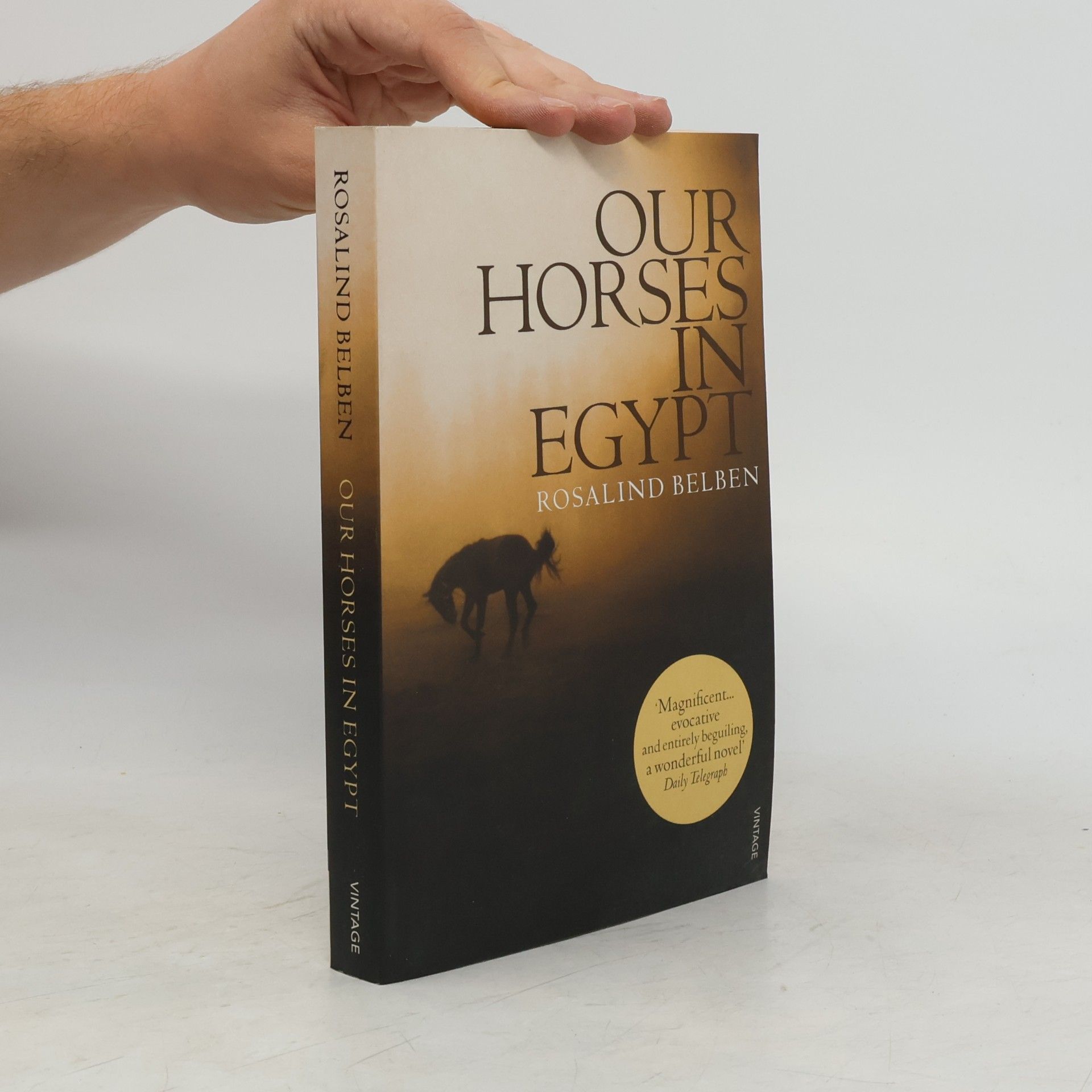 Rosalind Belben Our Horses In Egypt