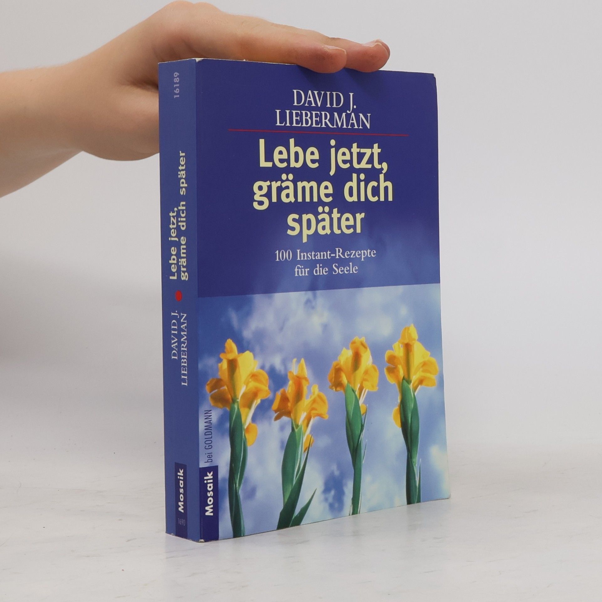 David J. Lieberman Lebe jetzt, gräme dich später