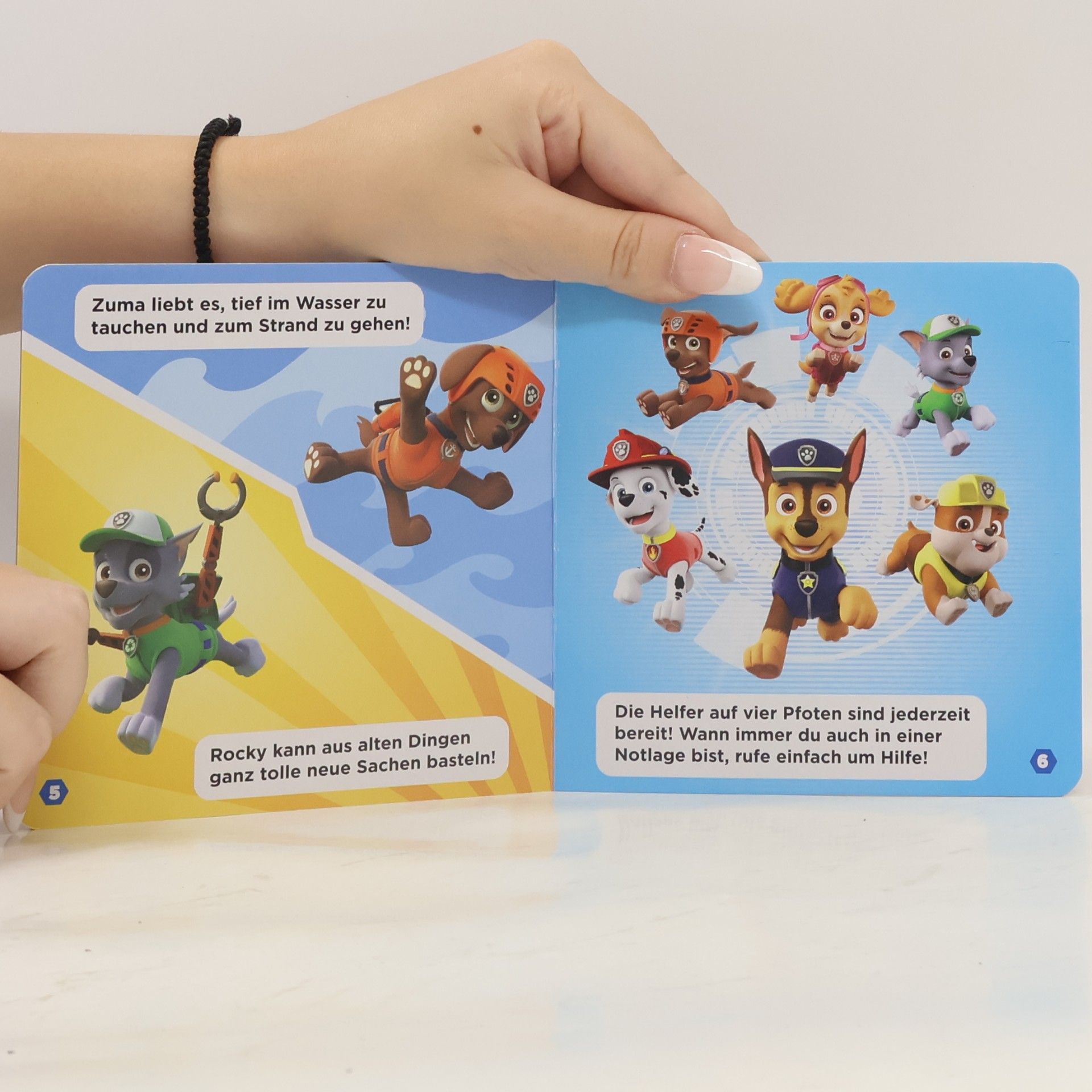 Autorenkollektiv Paw Patrol 1: Meine Freunde