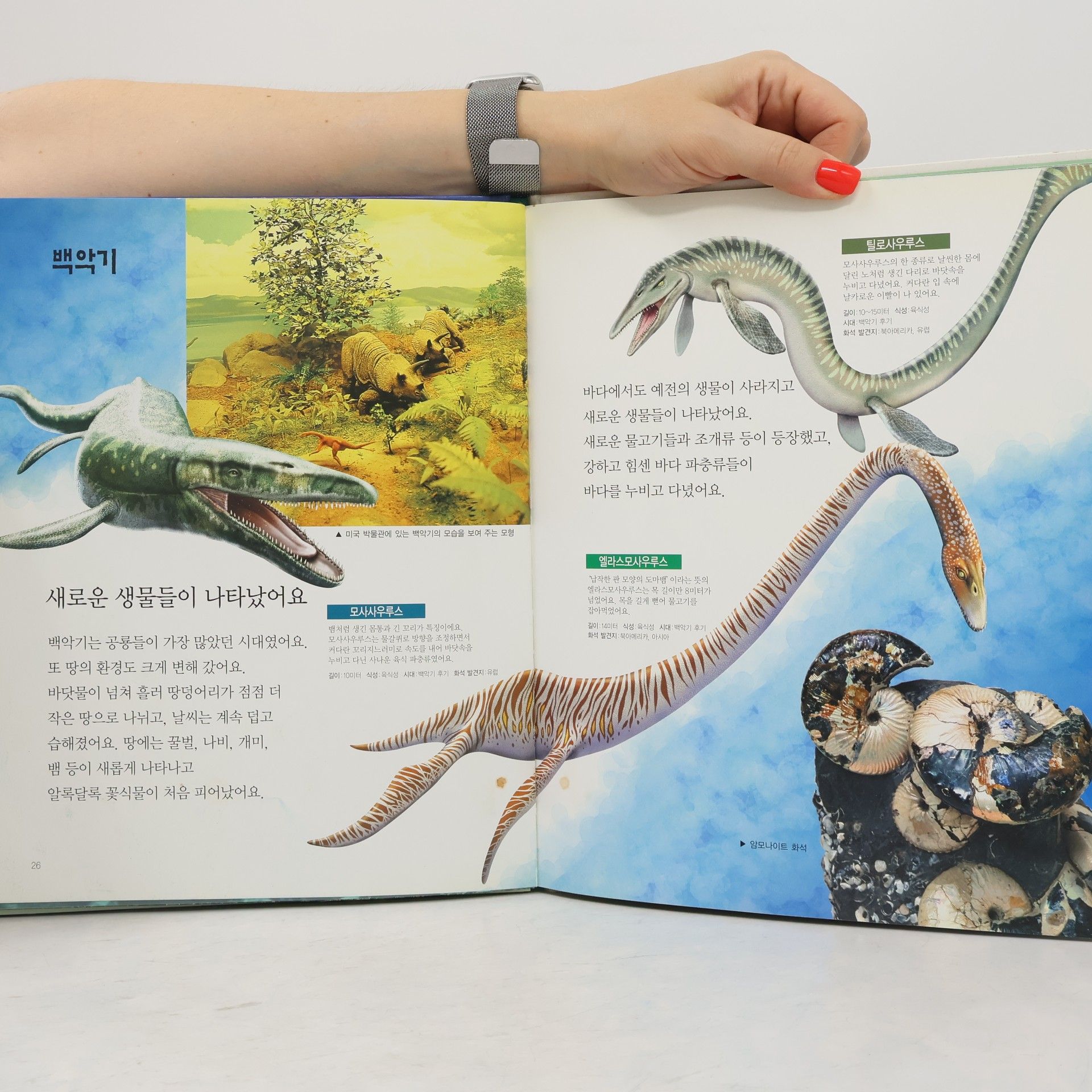 김사벳 지구의 거대한 동물 공룡 67