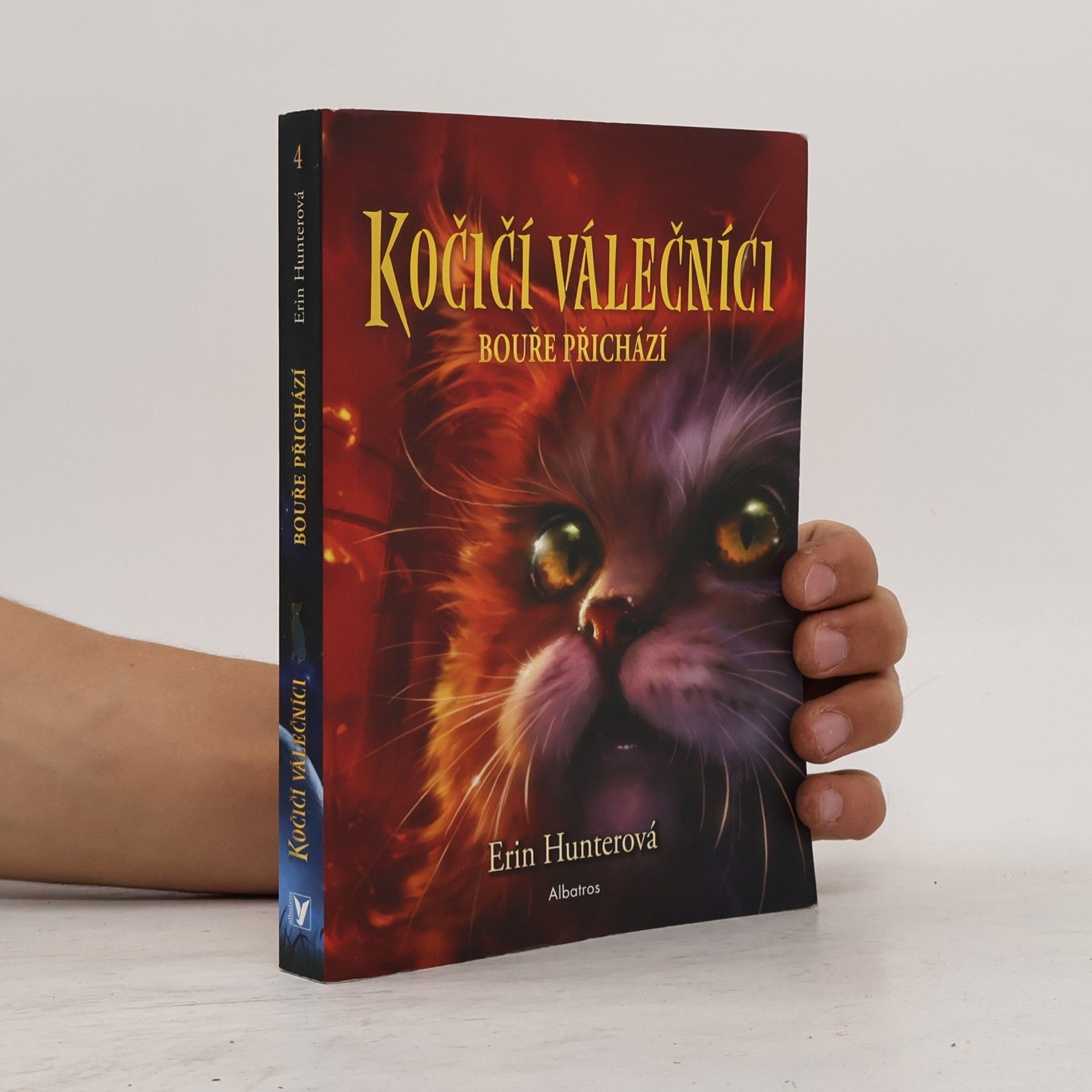 Erin Hunter Kočičí válečníci. Bouře přichází