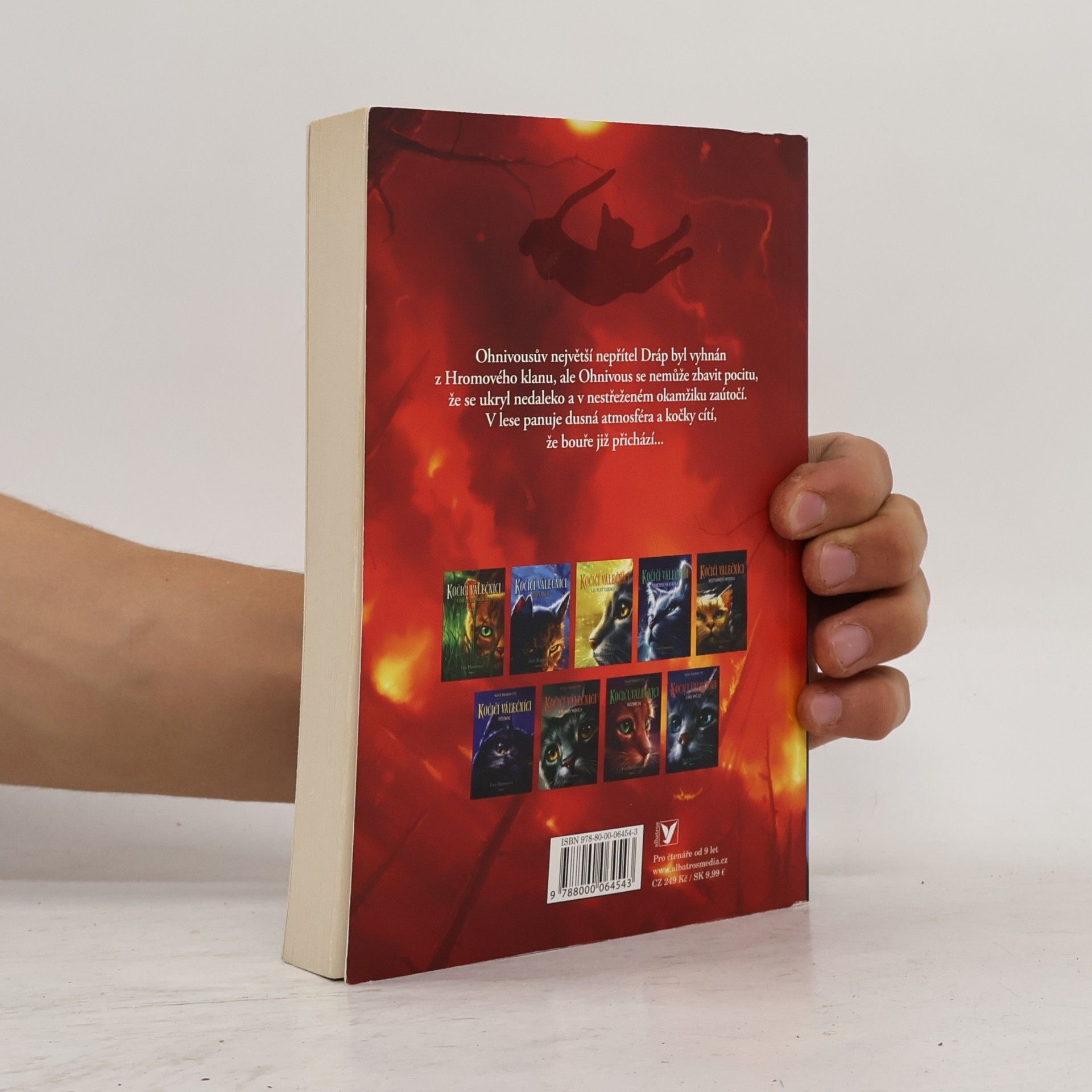Erin Hunter Kočičí válečníci. Bouře přichází