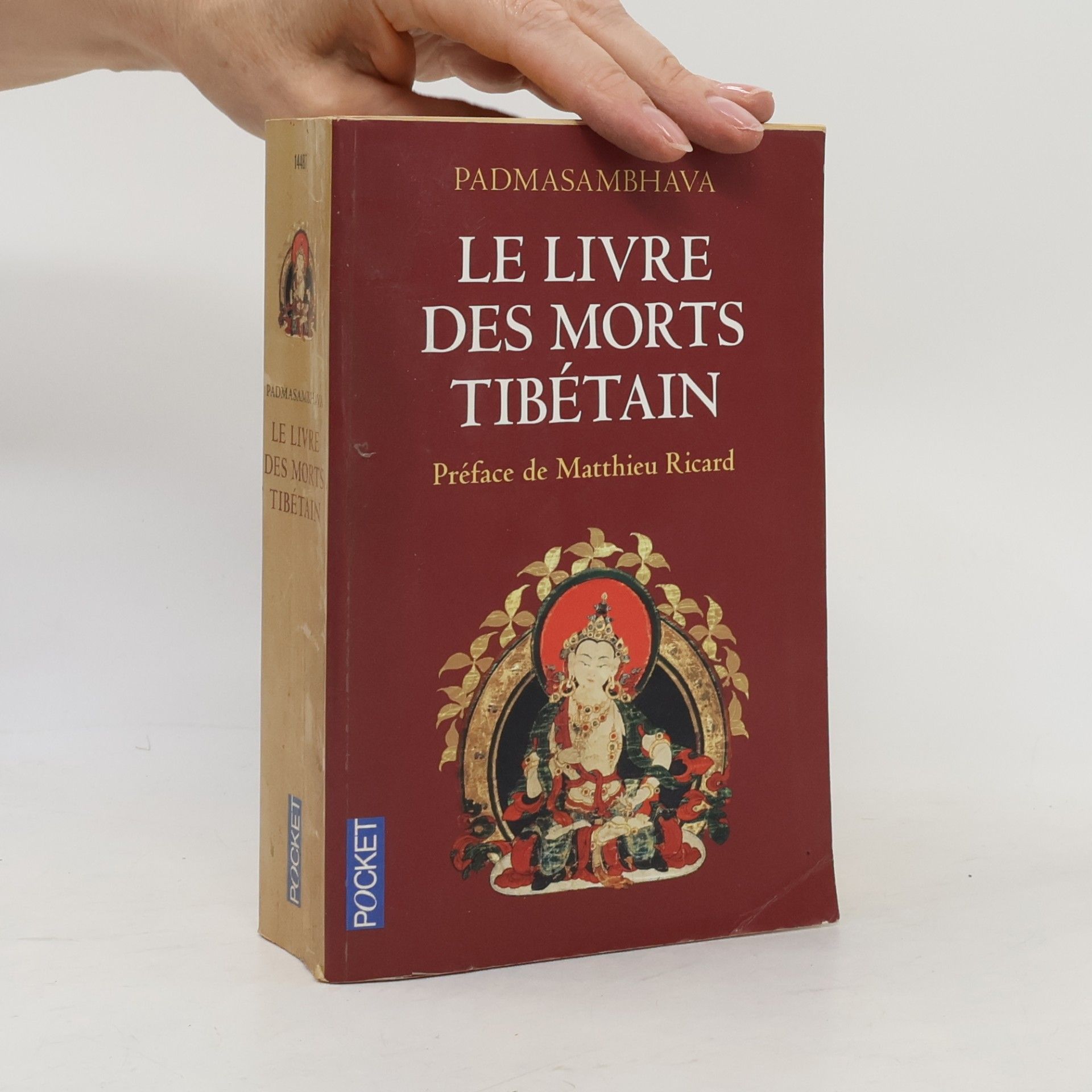 Padmasambhava Le livre des morts Tibétain