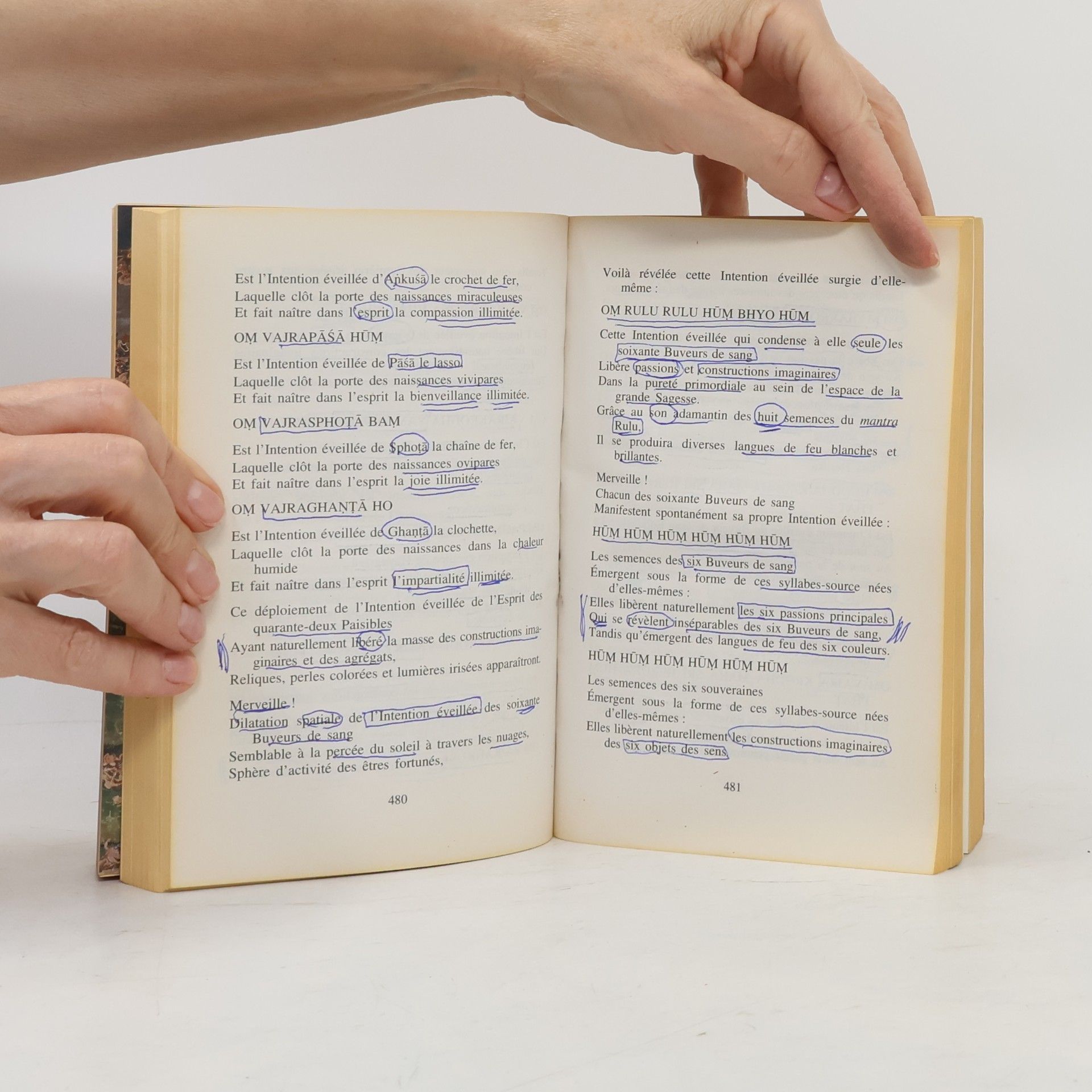 Philippe Cornu Le livre des morts Tibétain