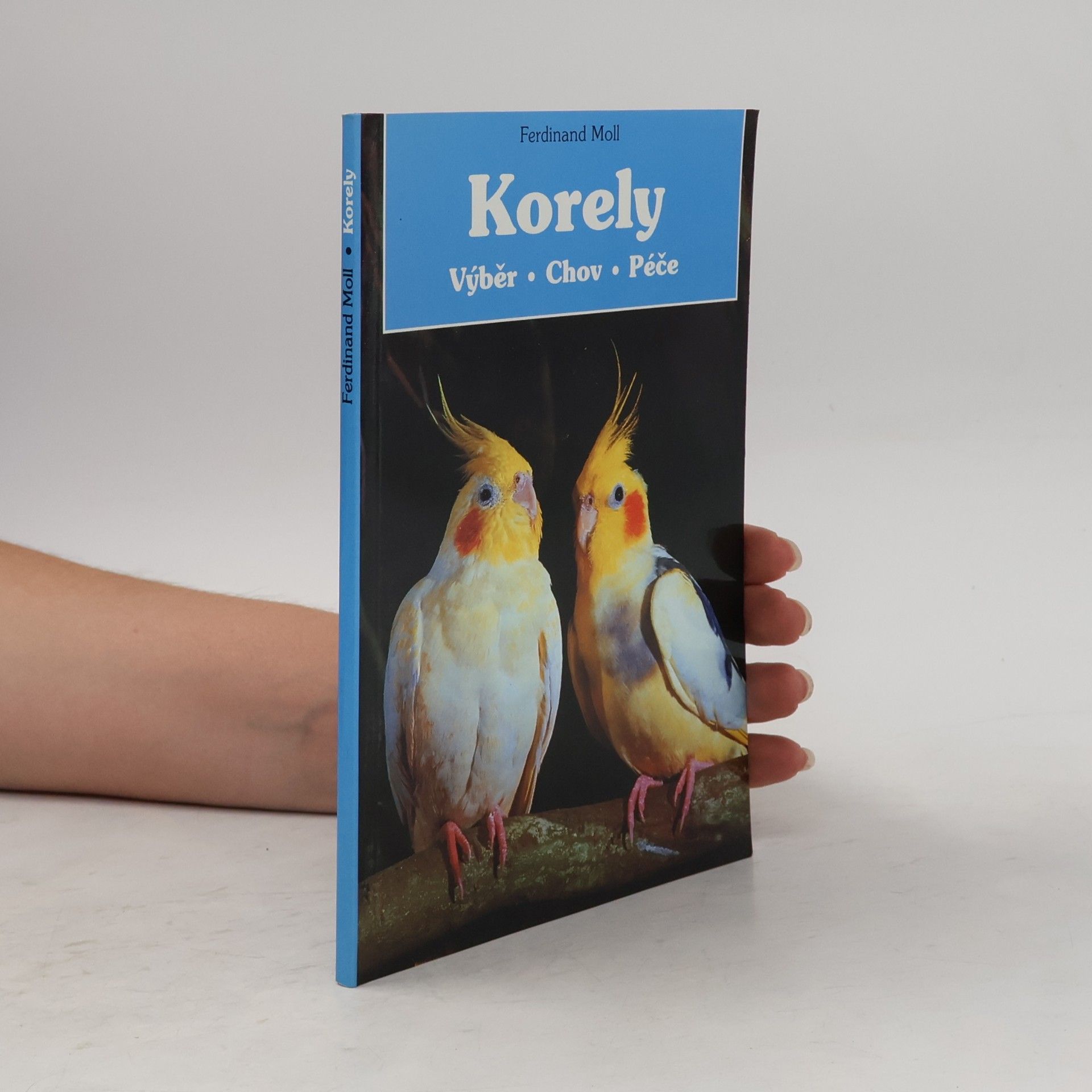 Ferdinand Moll Korely: výběr, chov, péče