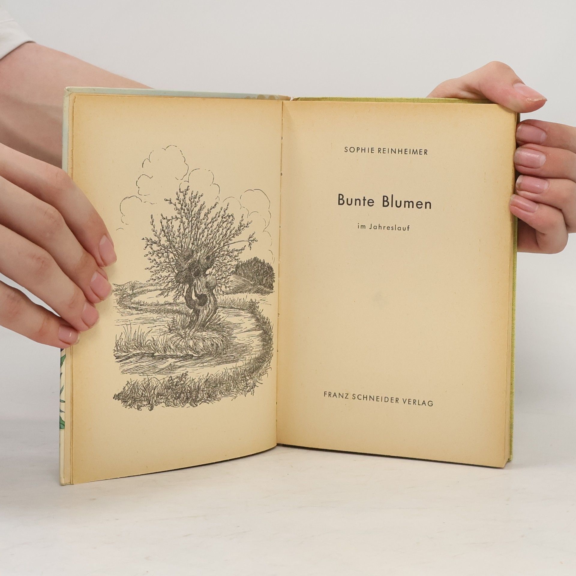 Sophie Reinheimer Bunte Blumen