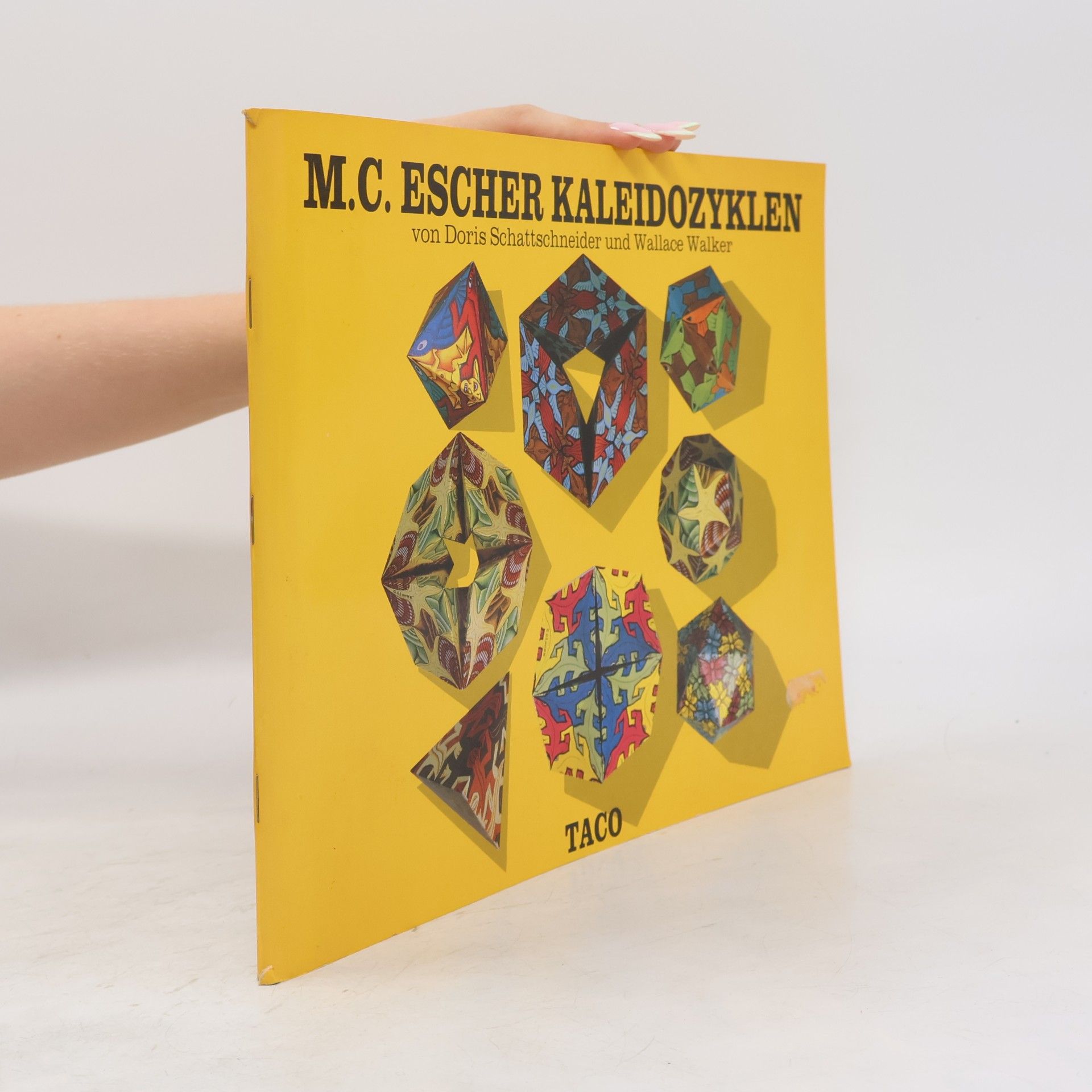 Doris Schattschneider M. C. Escher Kaleidozyklen
