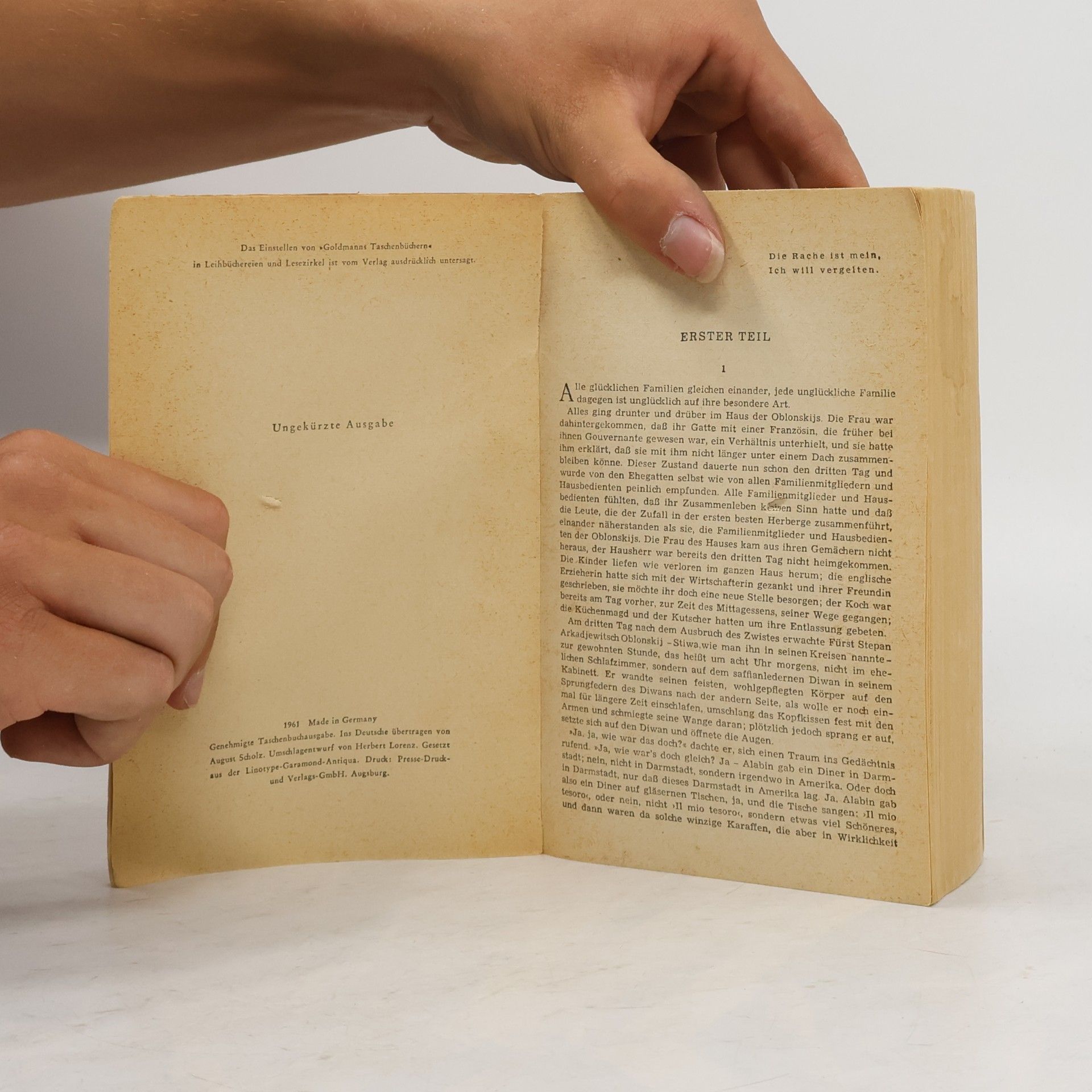Lew Nikolajewitsch Tolstoi Anna Karenina