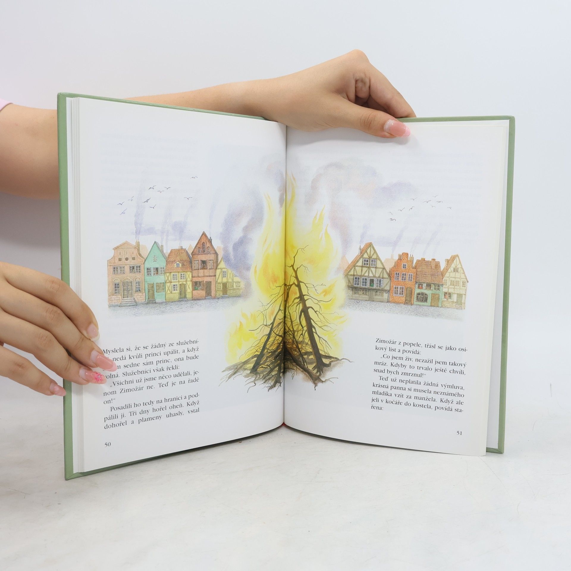 Jacob Grimm Pohádky bratří Grimmů. 1