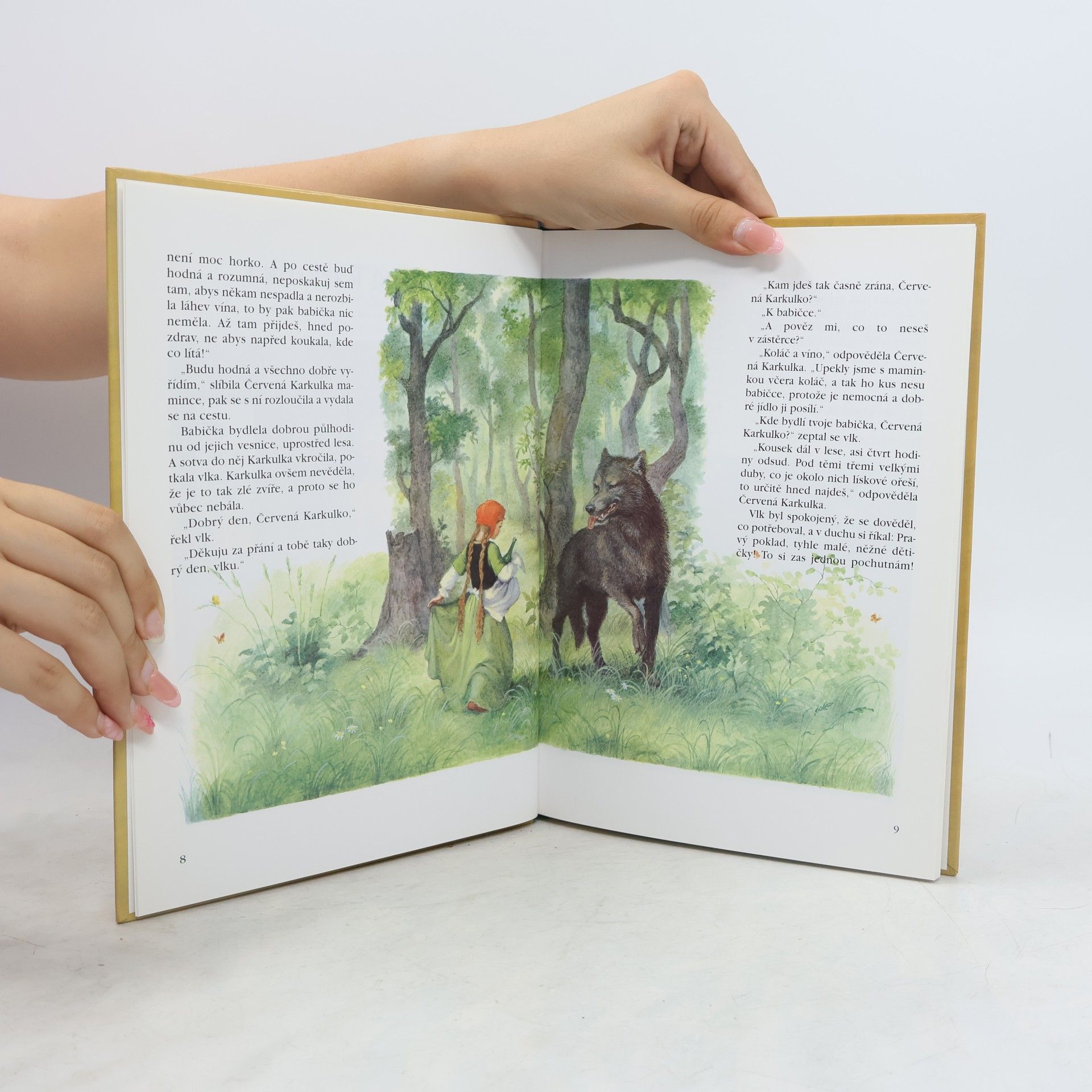 Jacob Grimm Pohádky bratří Grimmů 2
