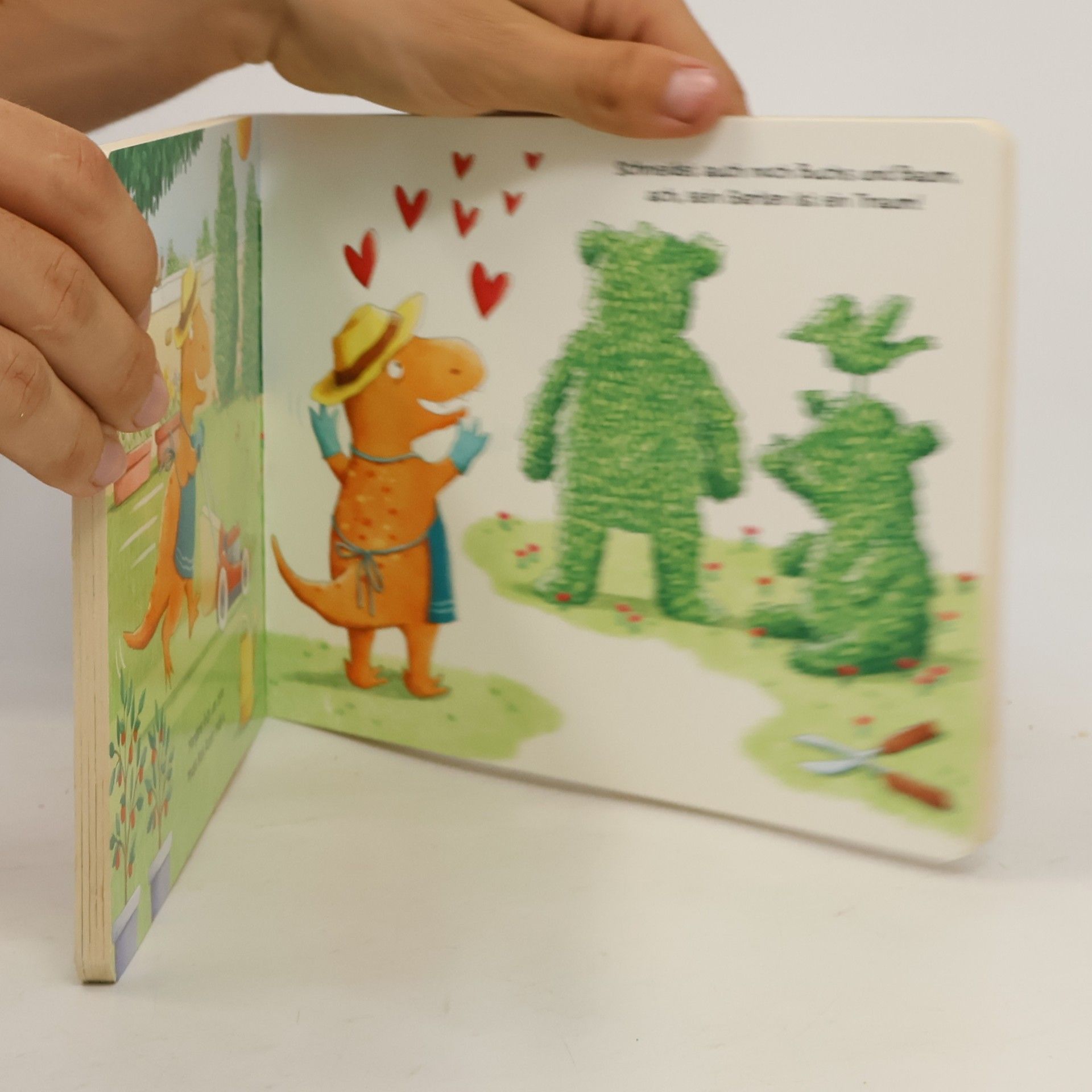 Nicola Anker Morgens früh um sechs gähnt der kleine Rex