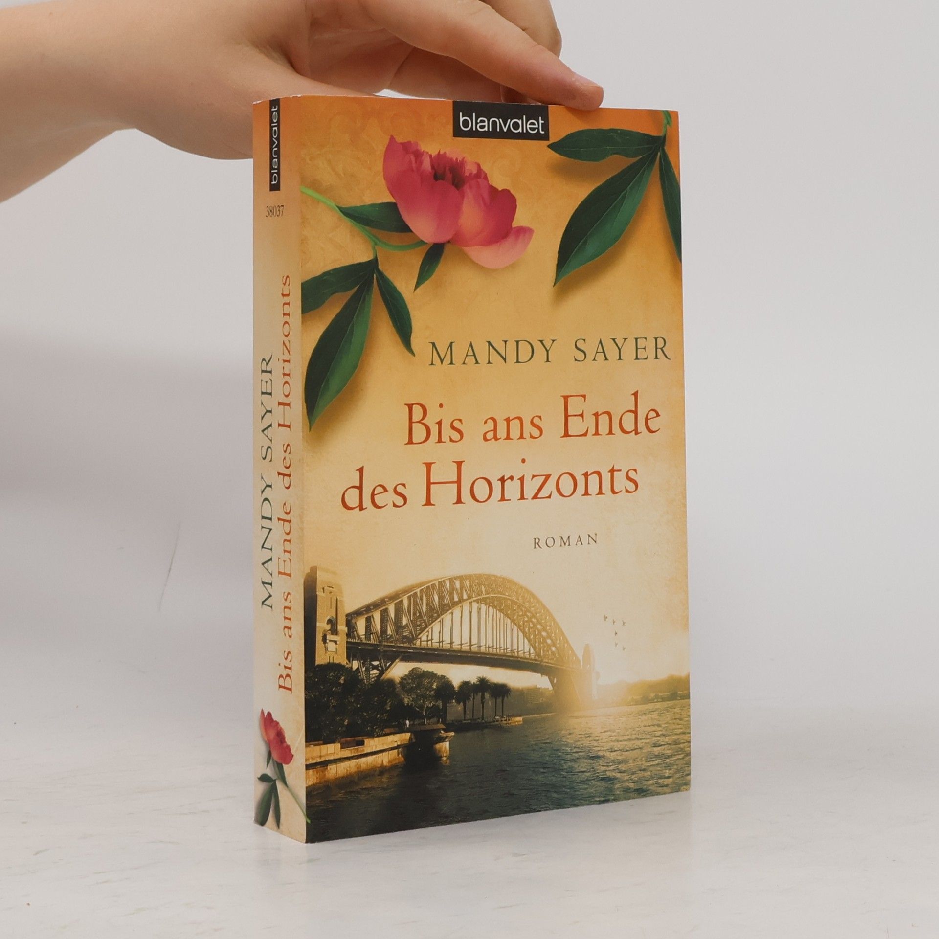 Mandy Sayer Bis ans Ende des Horizonts