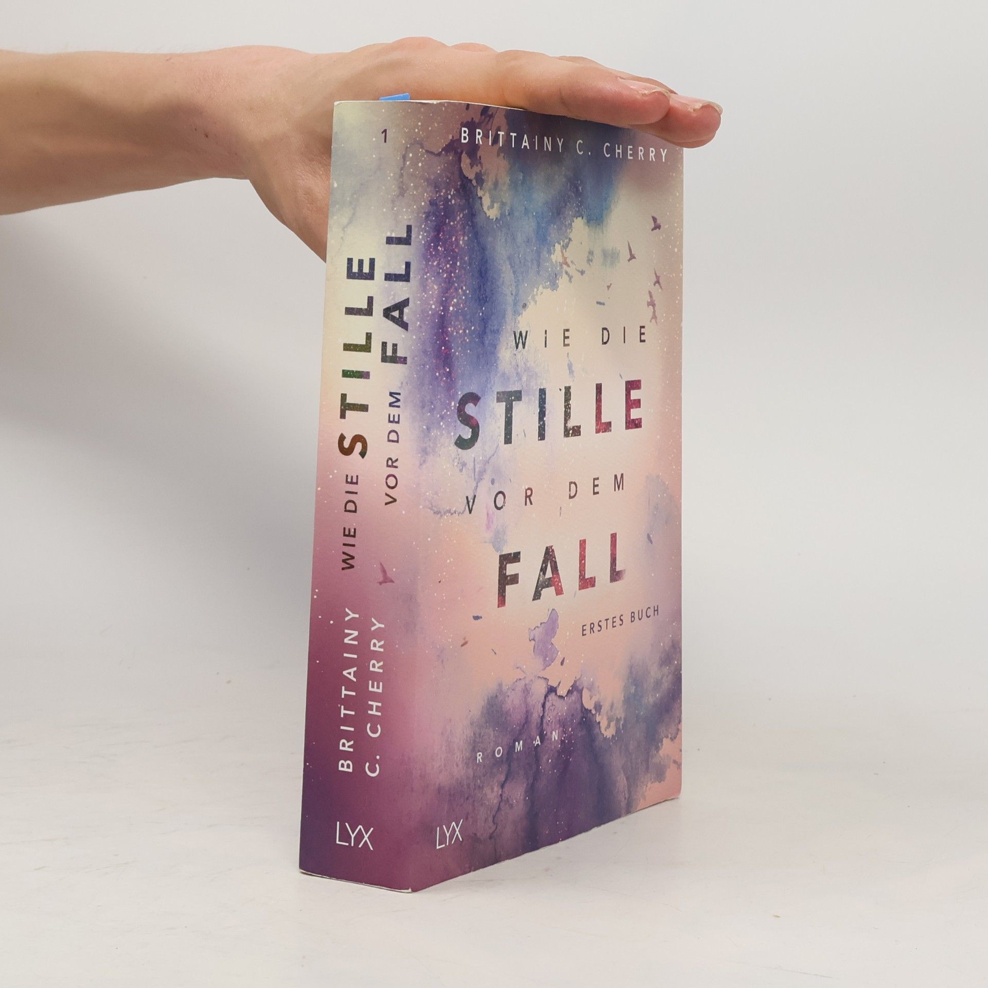 Brittainy C. Cherry Wie die Stille vor dem Fall