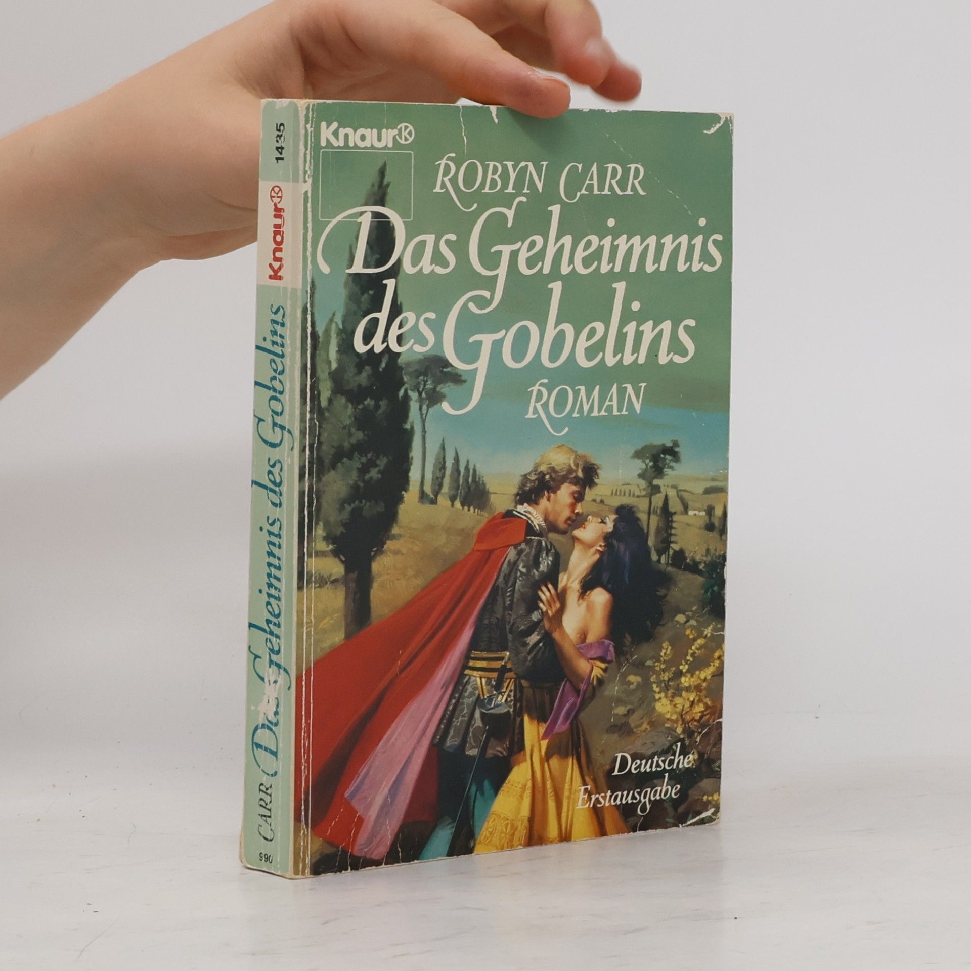 Robyn Carr Das Geheimnis des Gobelins. Roman