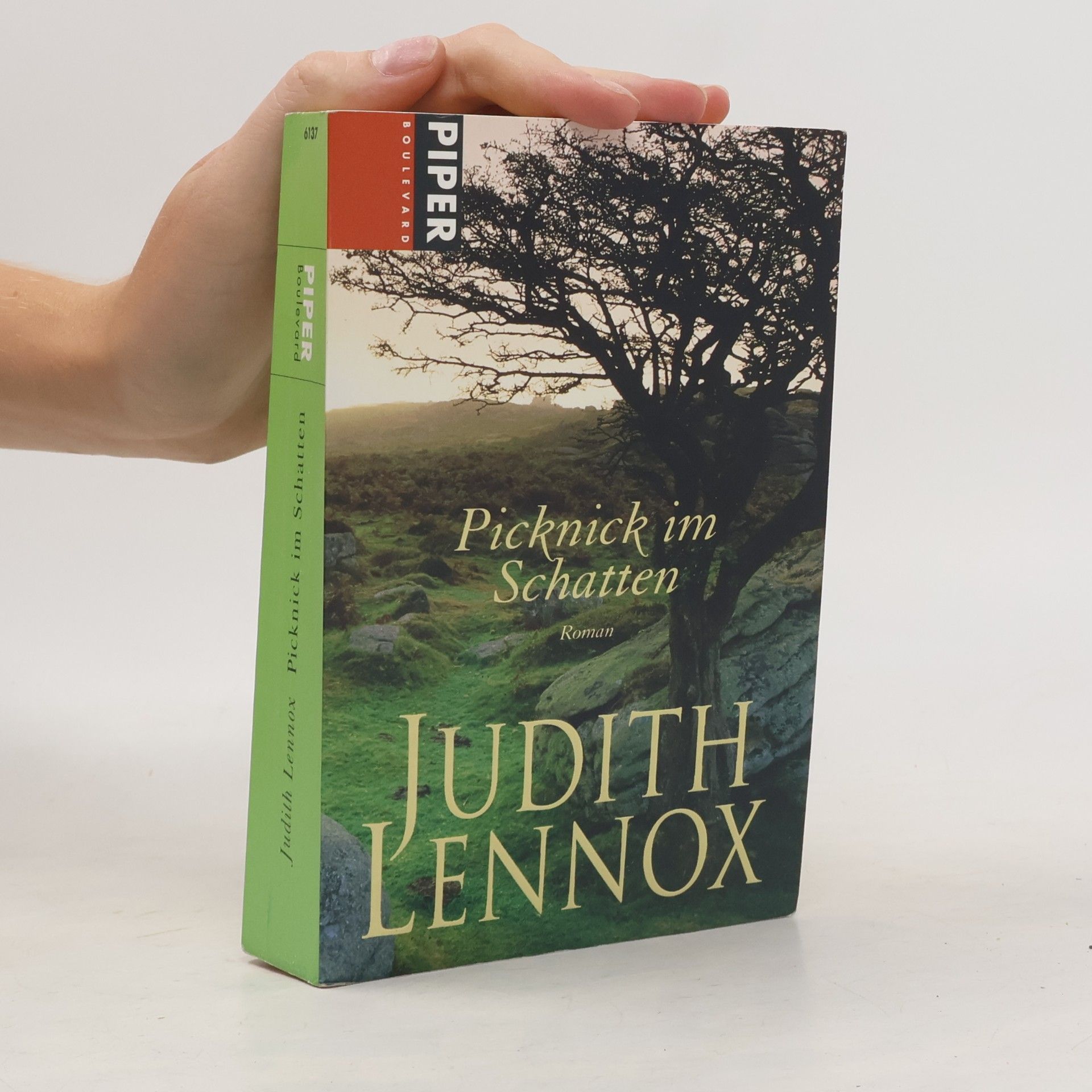 Judith Lennox Picknick im Schatten