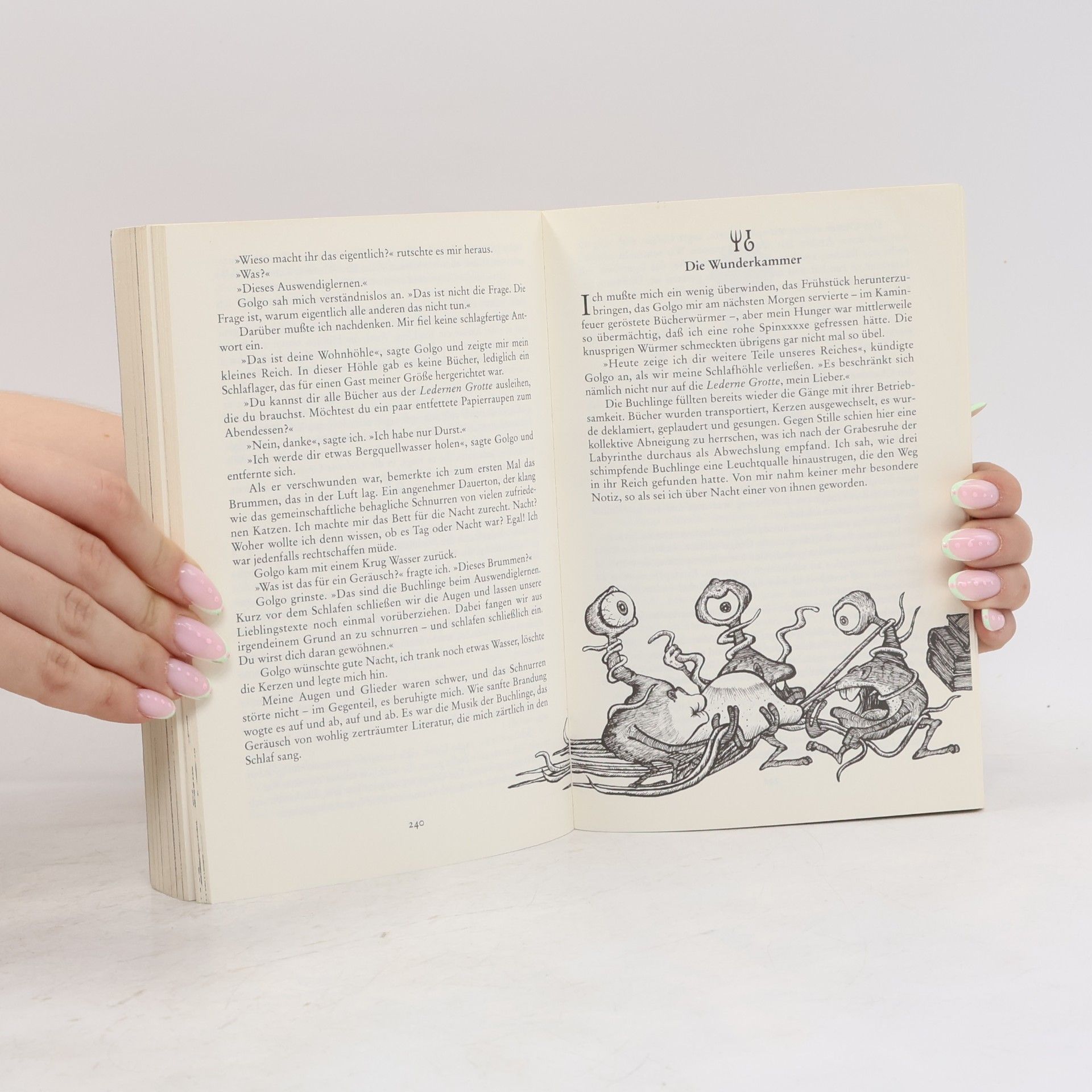 Walter Moers Die Stadt der Träumenden Bücher