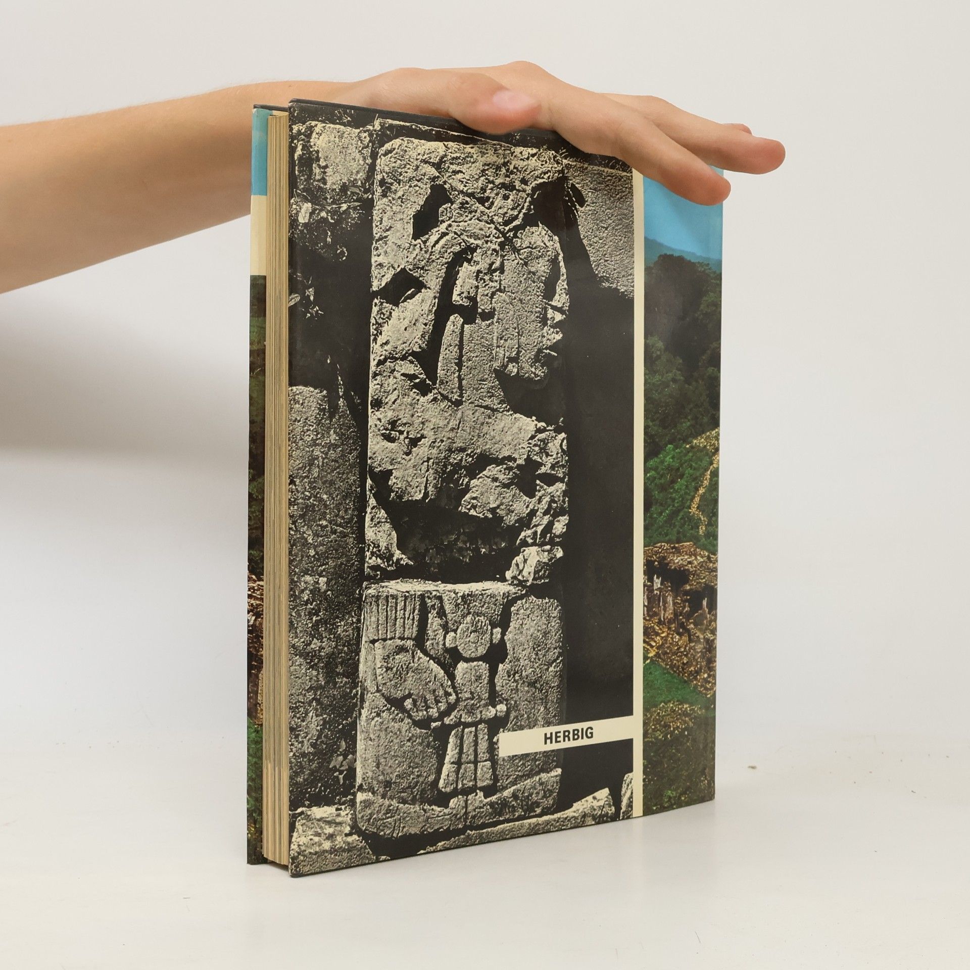 Vittoria Calvani Die Welt der Mayas