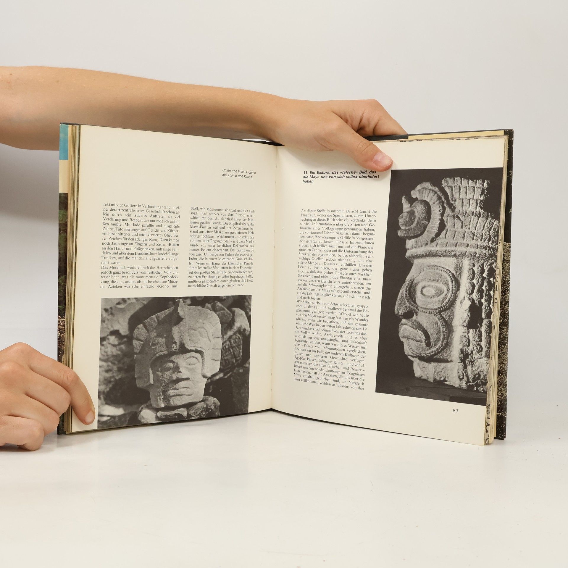 Vittoria Calvani Die Welt der Mayas