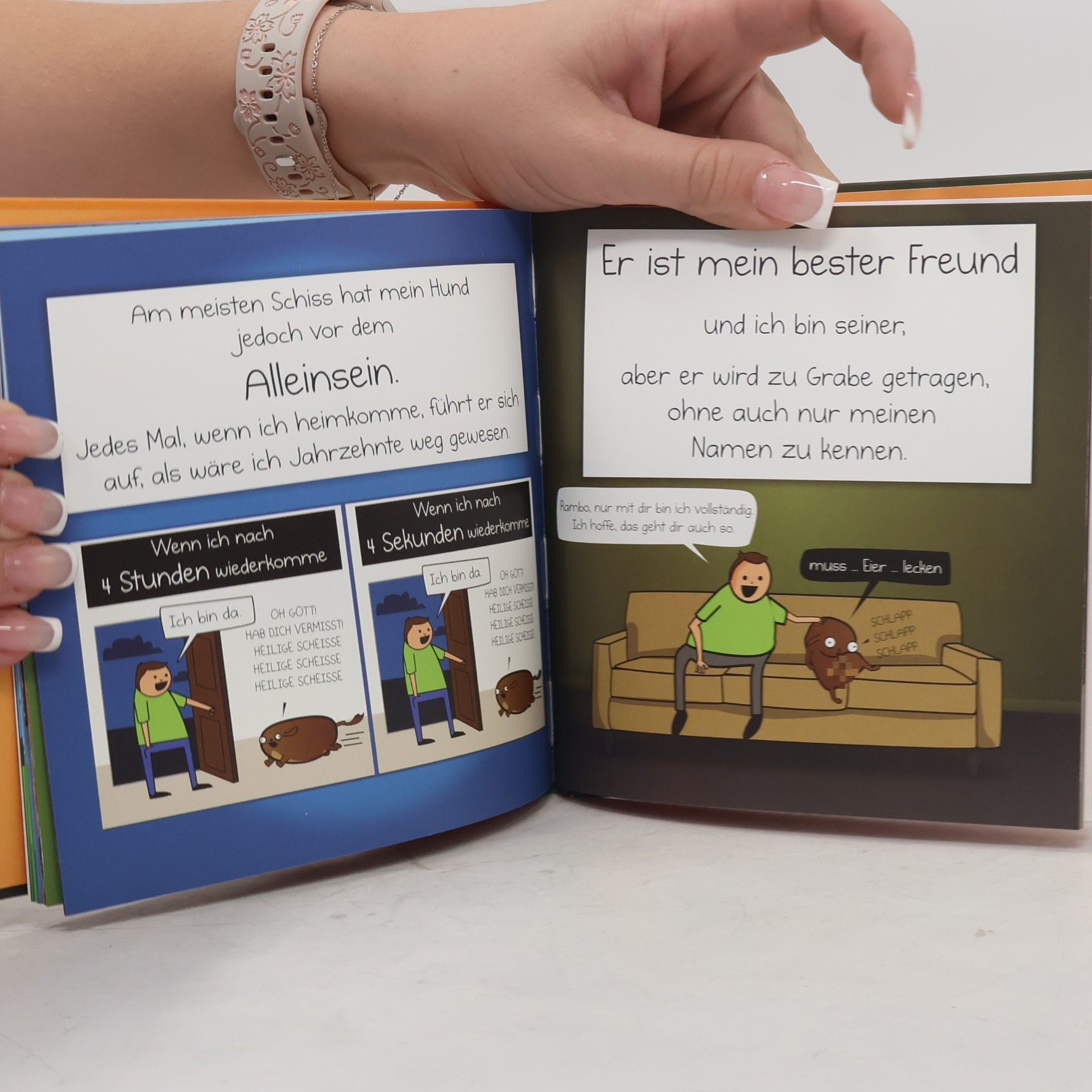The Oatmeal Mein Hund: das Paradoxon