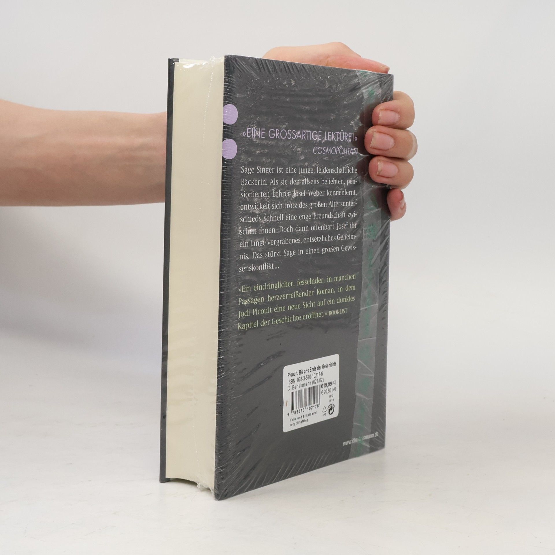 Jodi Picoult Bis ans Ende der Geschichte