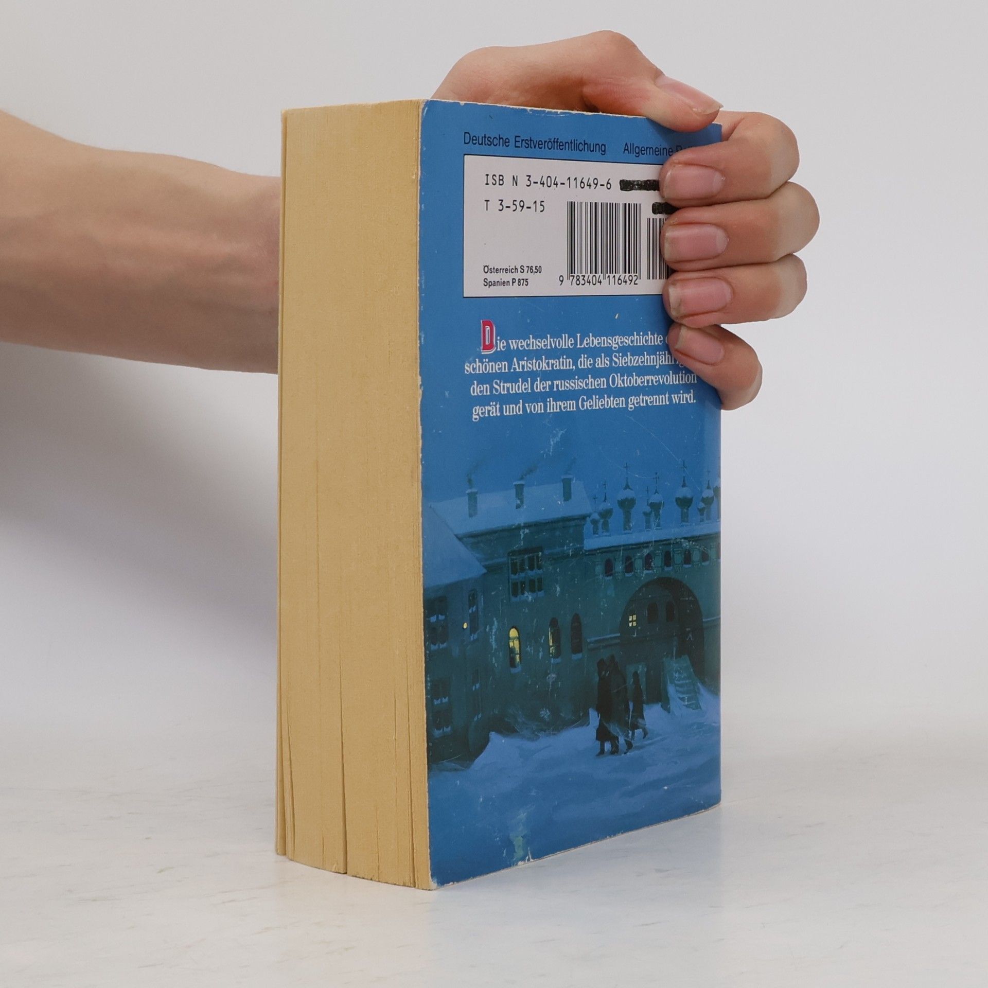Sylvie Dervin Die Frau aus Kiew (Allgemeine Reihe. Bastei Lübbe Taschenbücher)